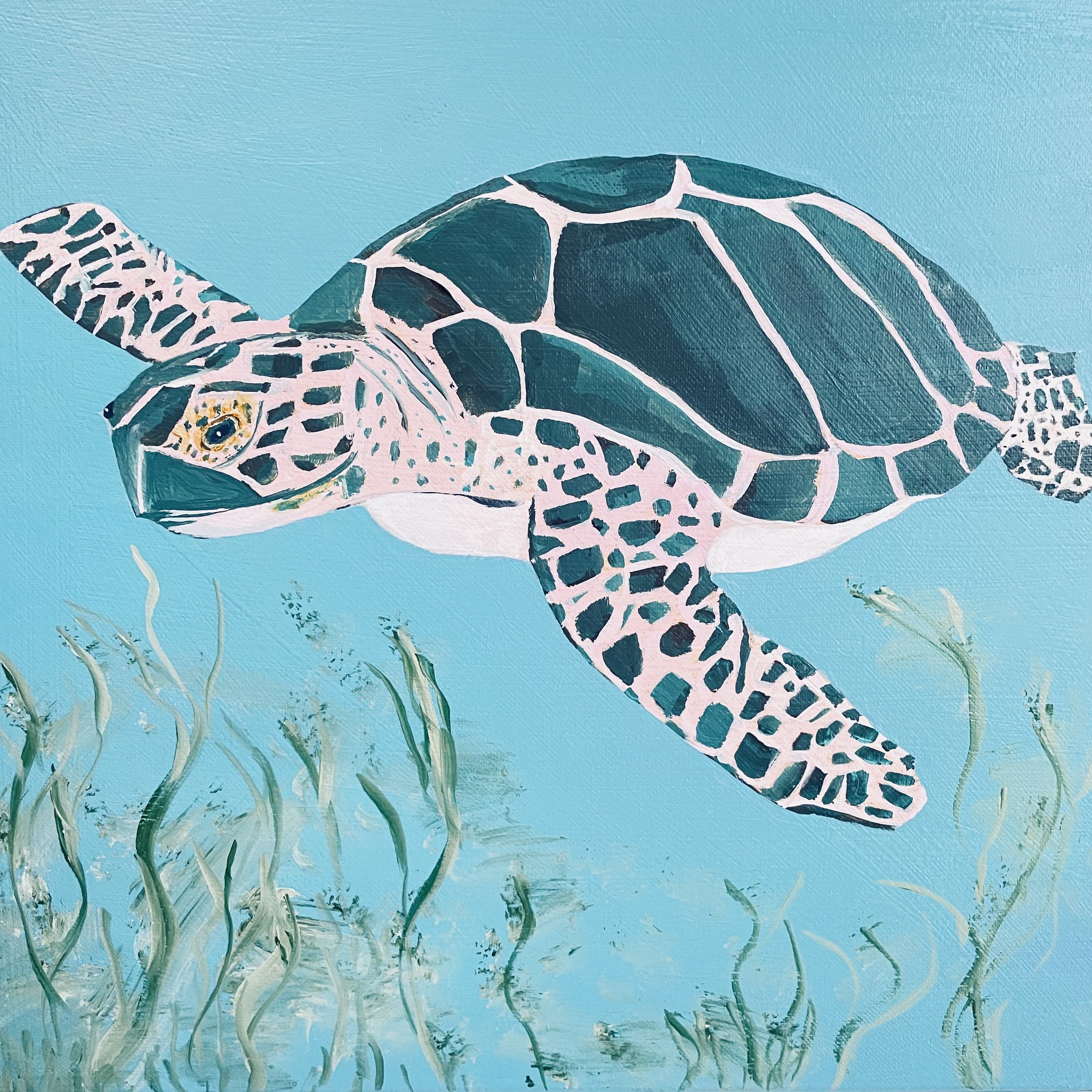 Snack Time Turtle