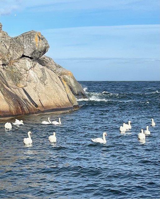 Trångt men trivsamt