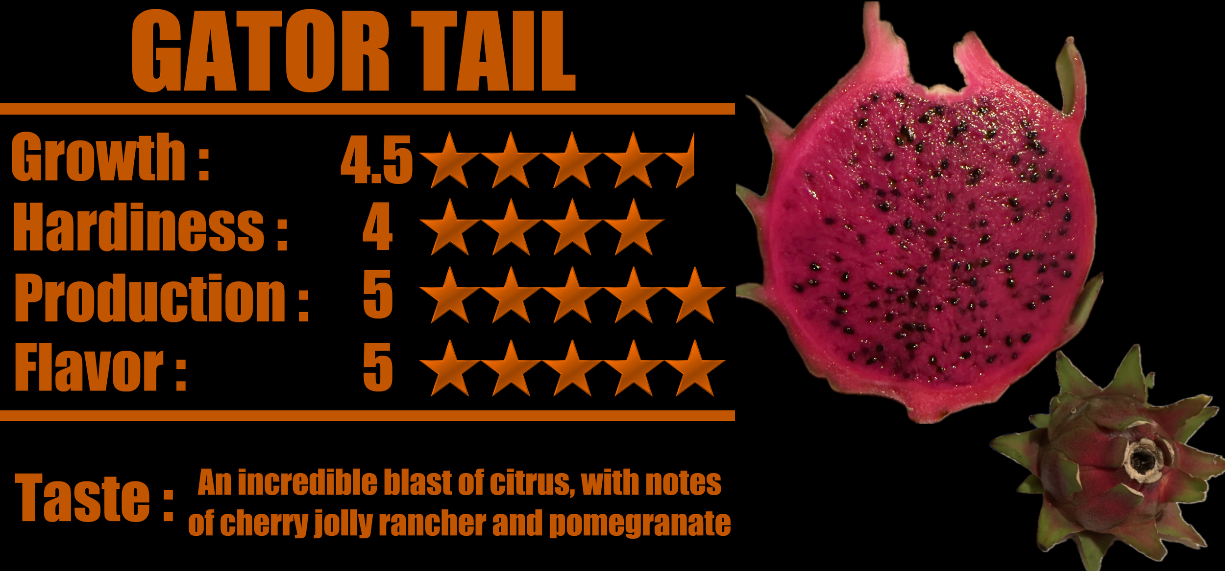 Gator Tail Stats.png