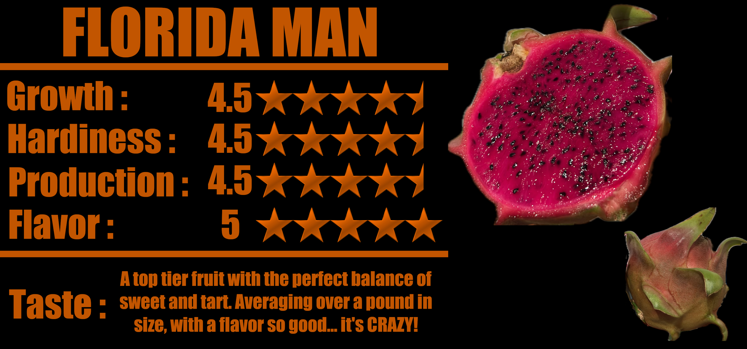 Florida Man Stats.png