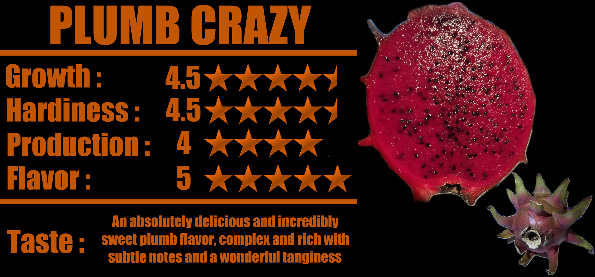 Plum Crazy Stats.png