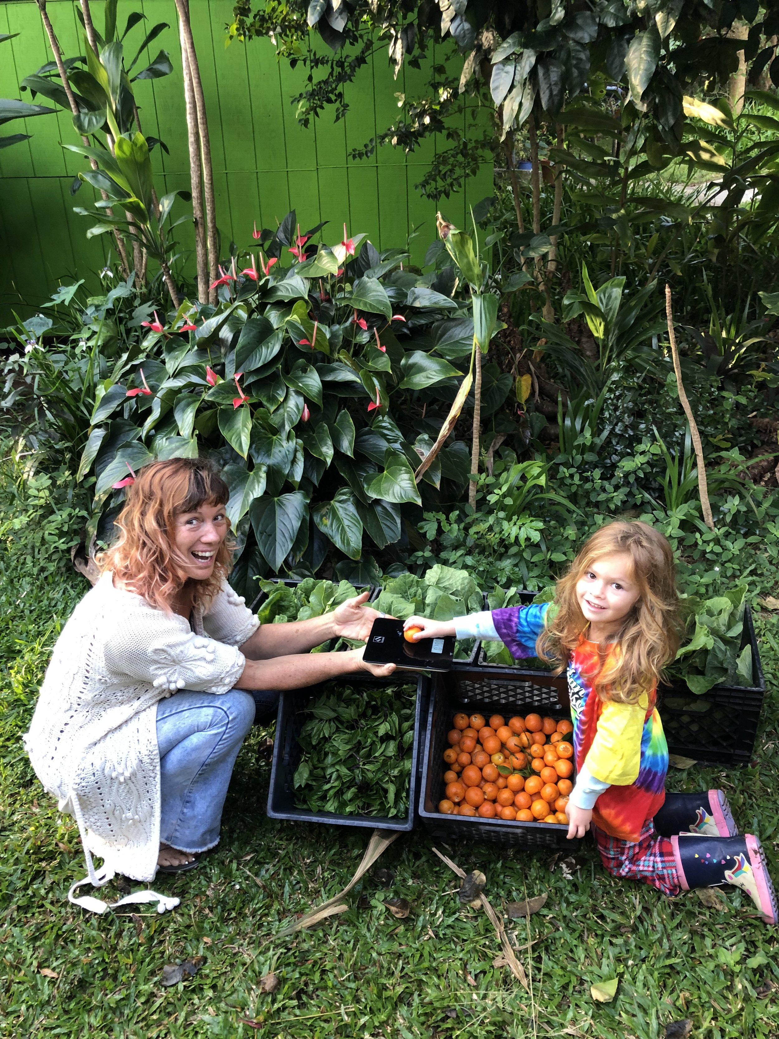Pueo Ridge Farms