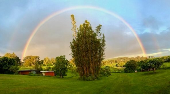 Rainbow Edge Farm