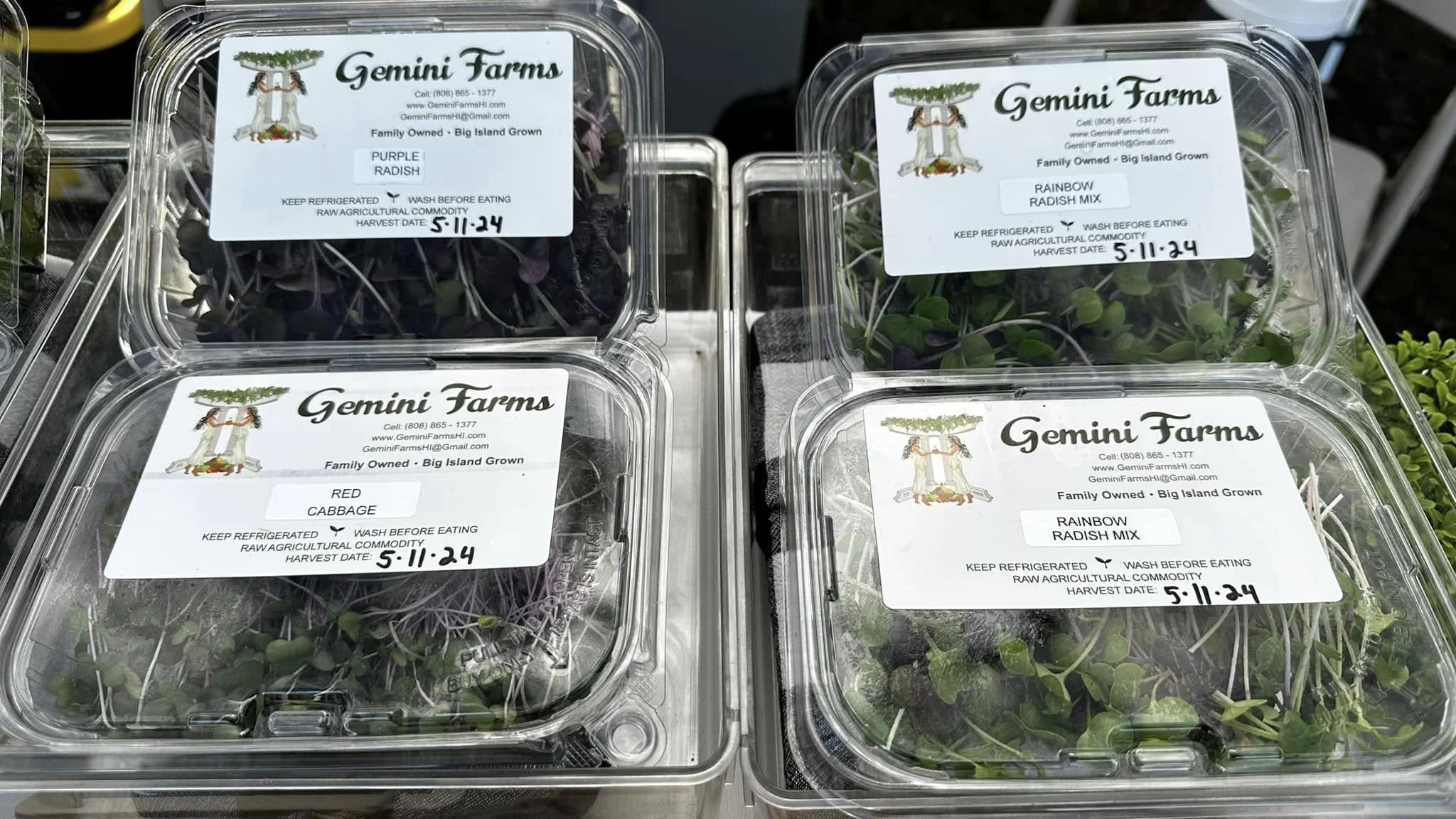 cute microgreens.jpg