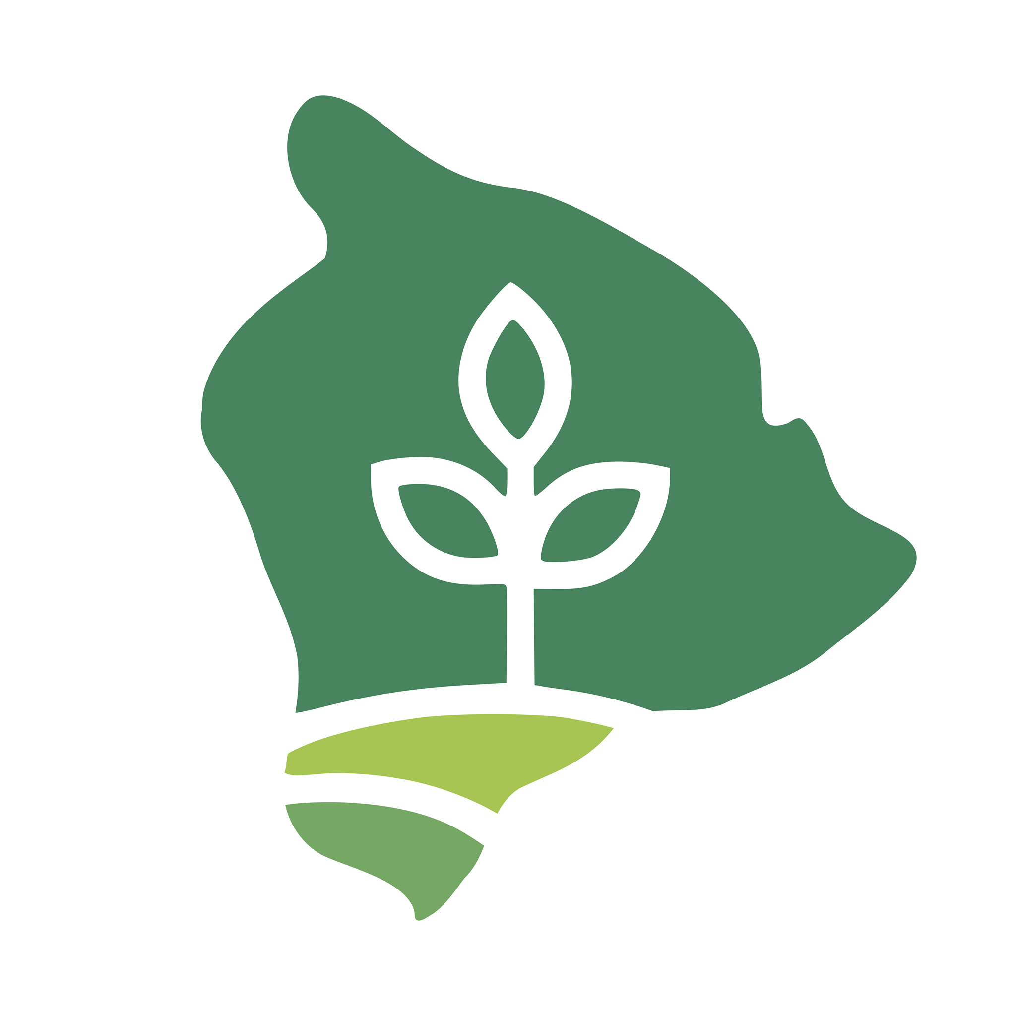 Big Island Farms