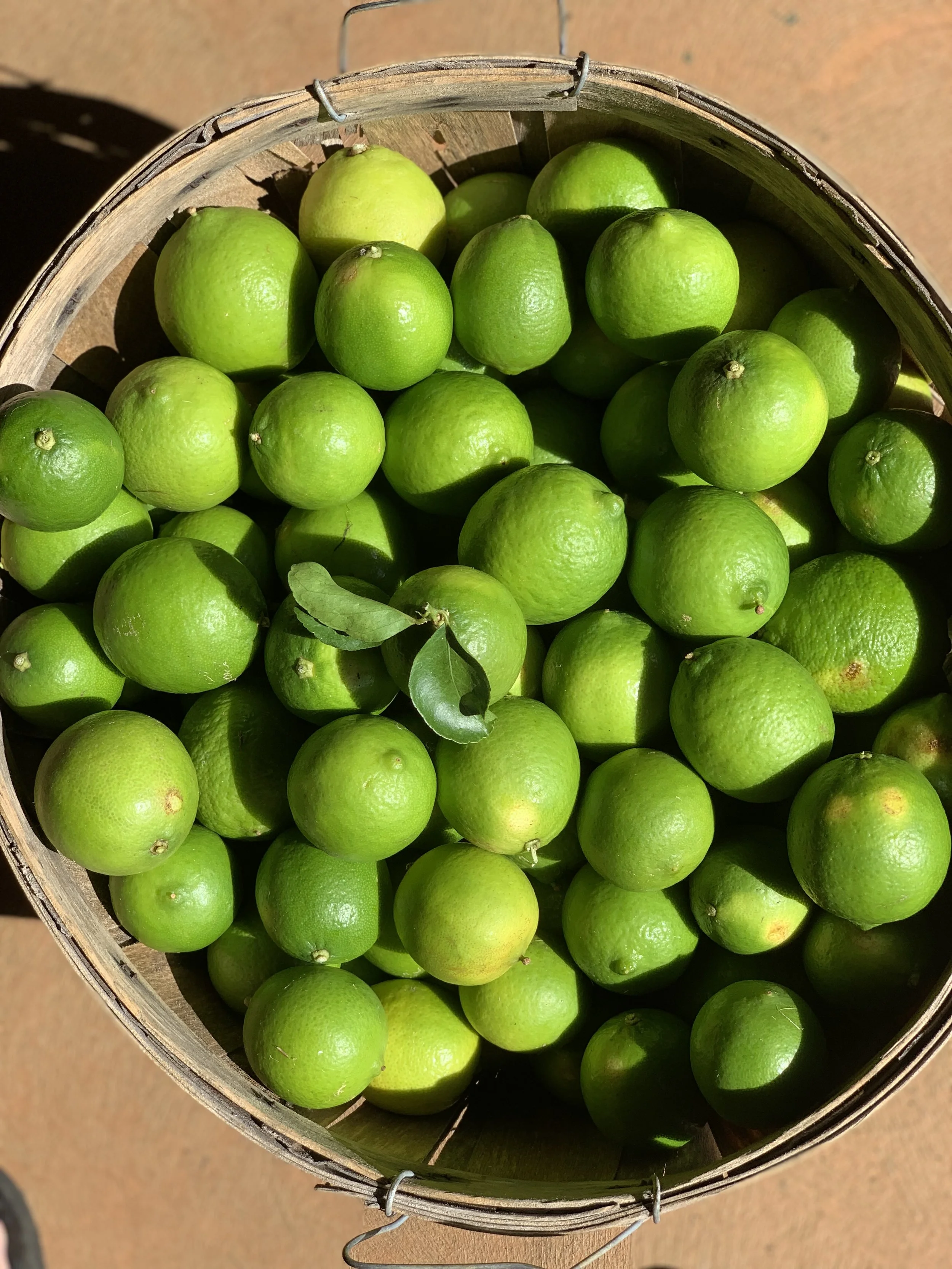 Limes.jpg