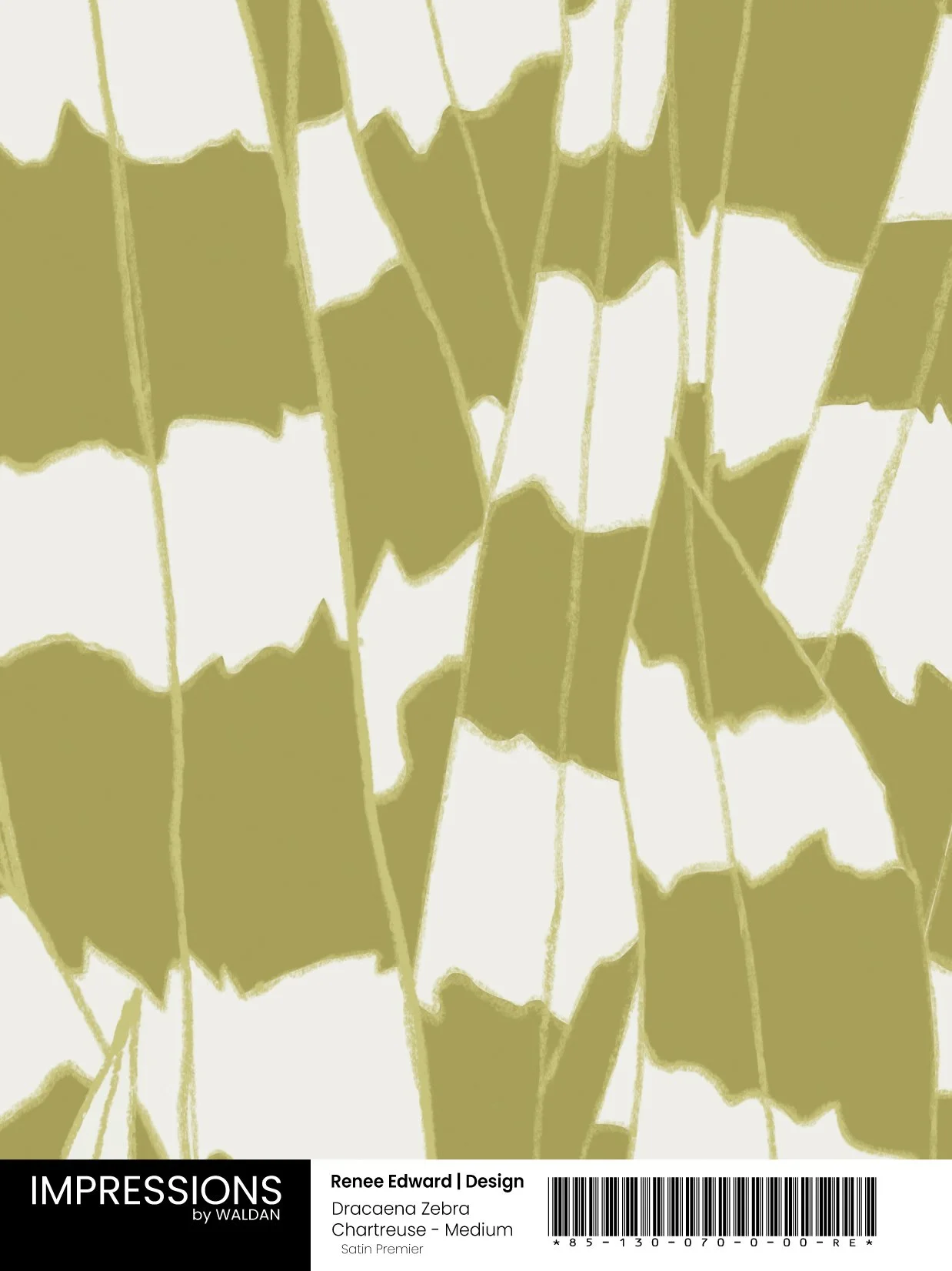 Dracaena Chartreuse - Medium