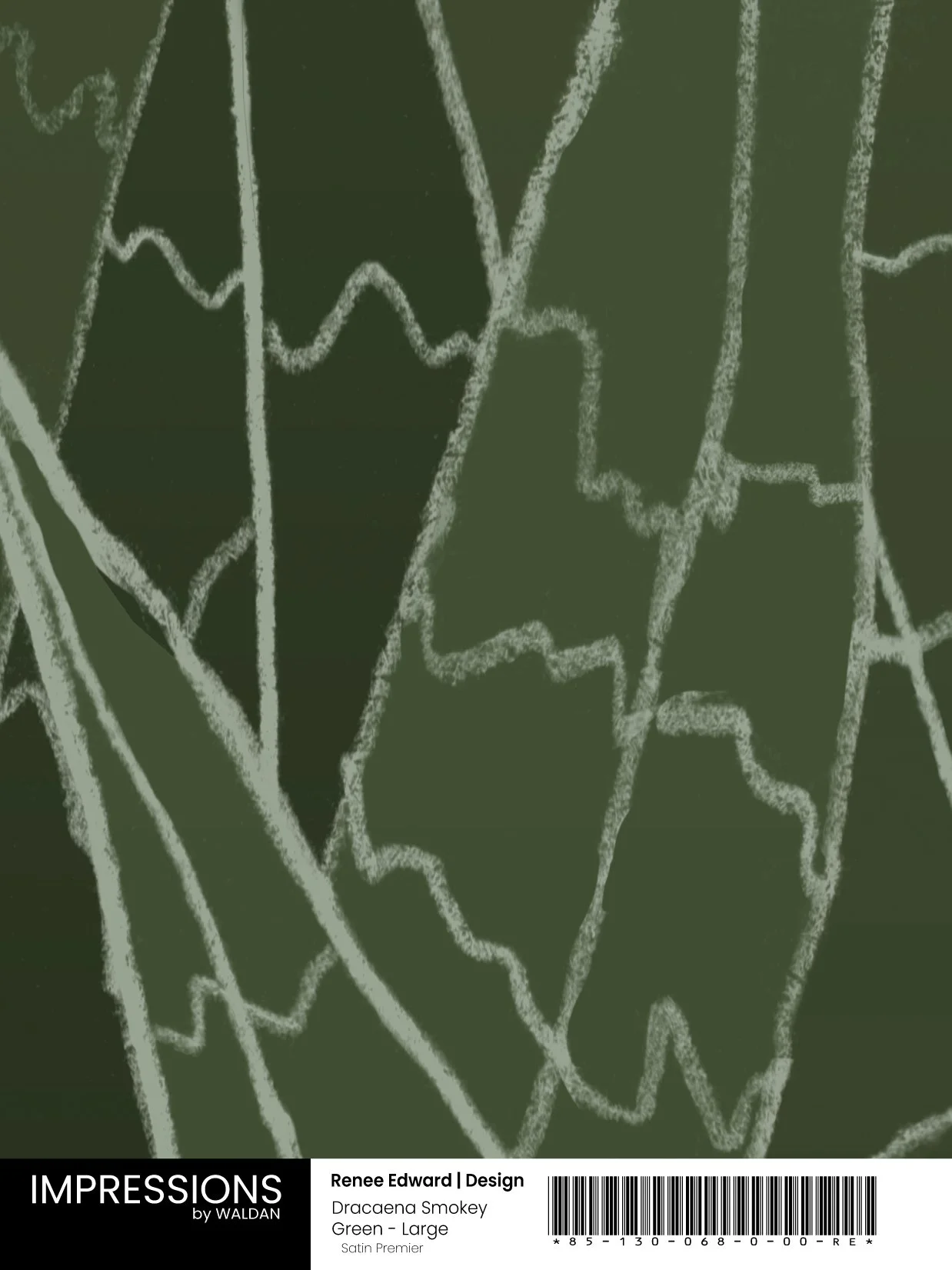 Dracaena Smokey Green - Large - Digital