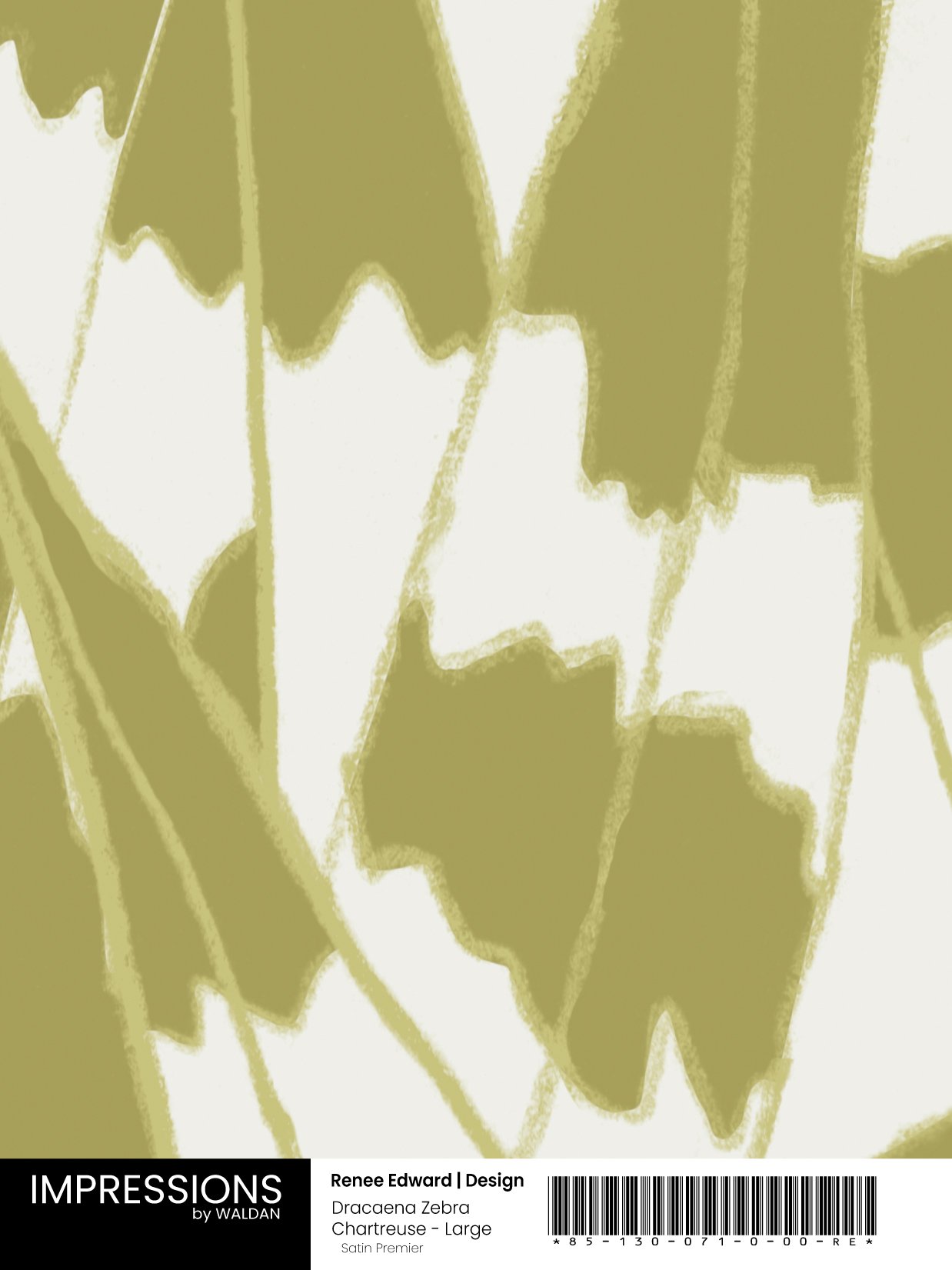 Dracaena Chartreuse - Large - Digital