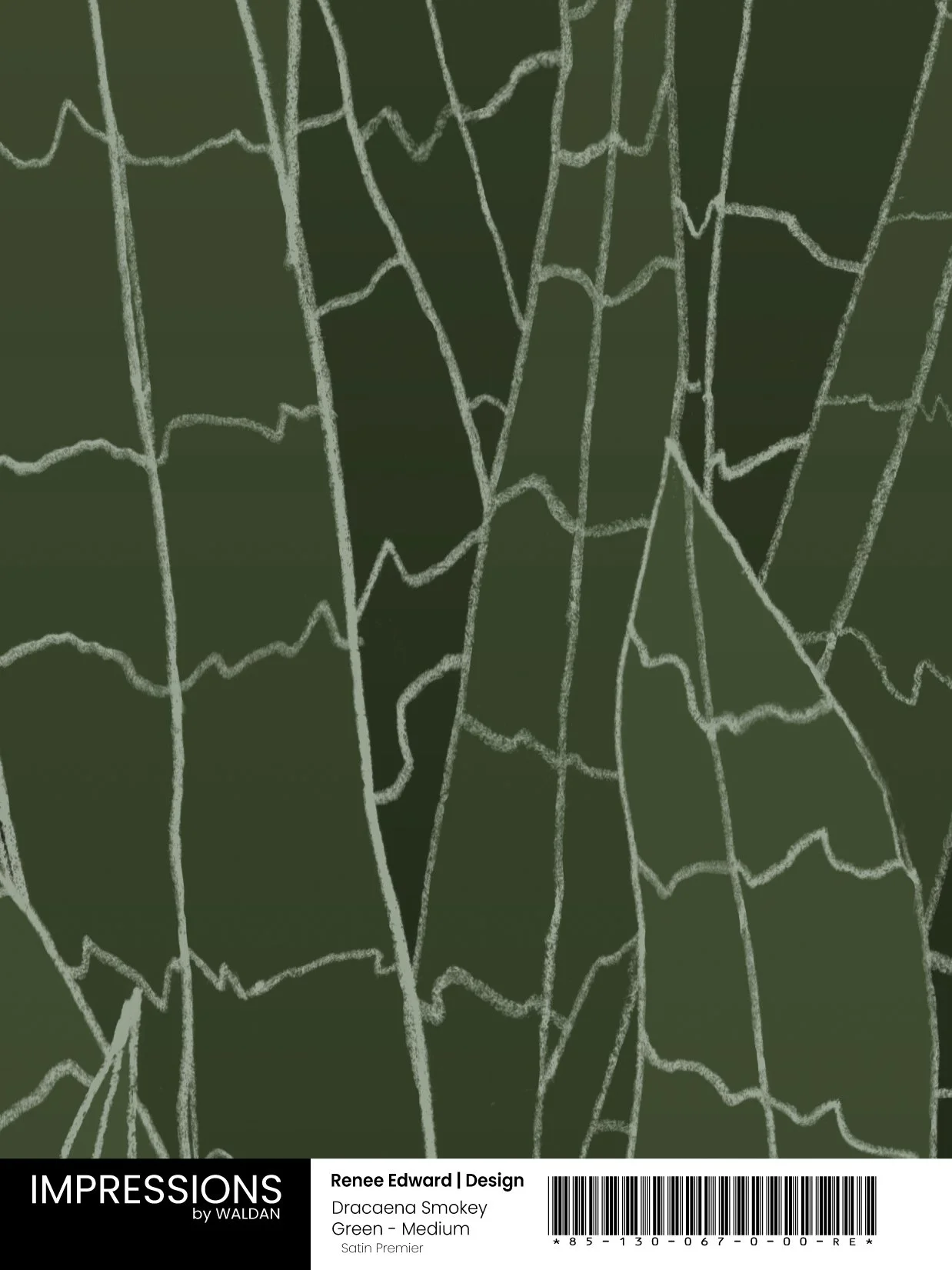 Dracaena Smokey Green - Medium