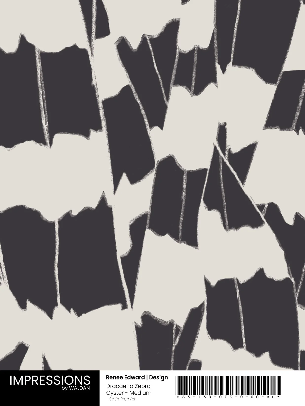 Dracaena Oyster - Medium