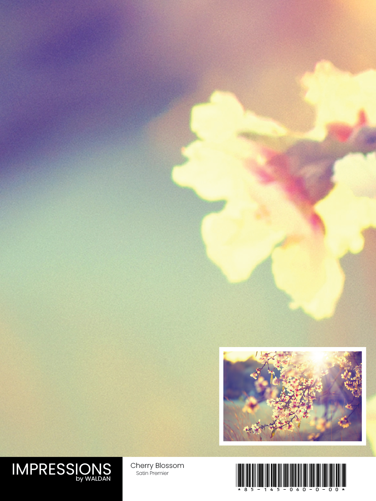 Cherry Blossom - Digital