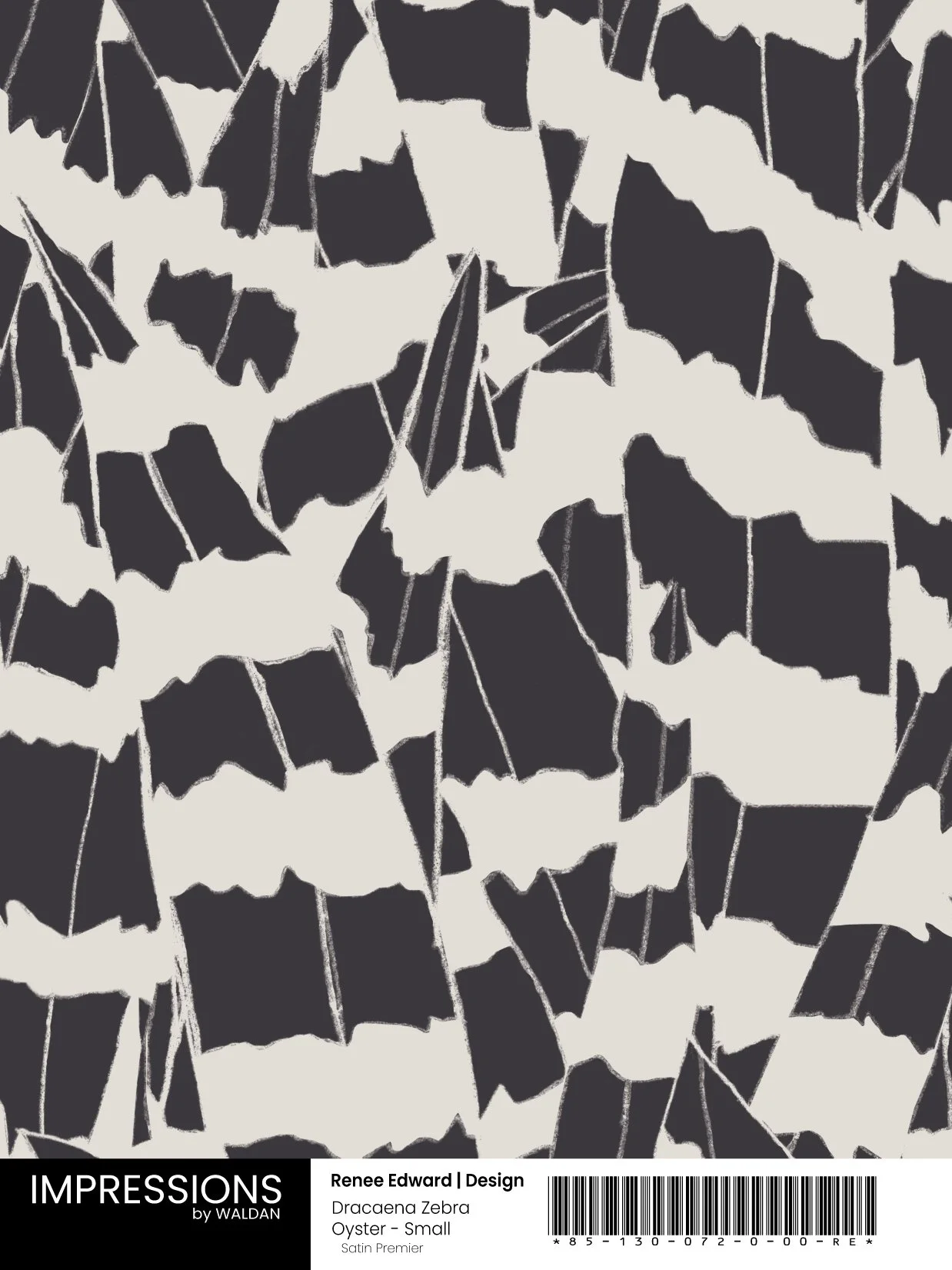 Dracaena Zebra Oyster - Small