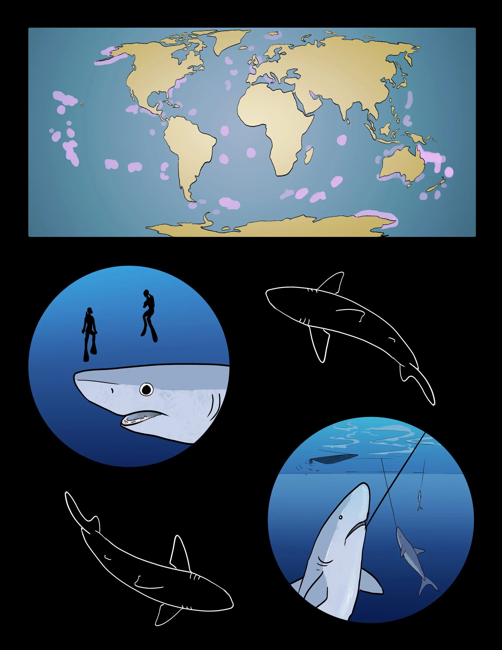 kai-barrows-shark-vulnerabilities-page-7-0.jpg
