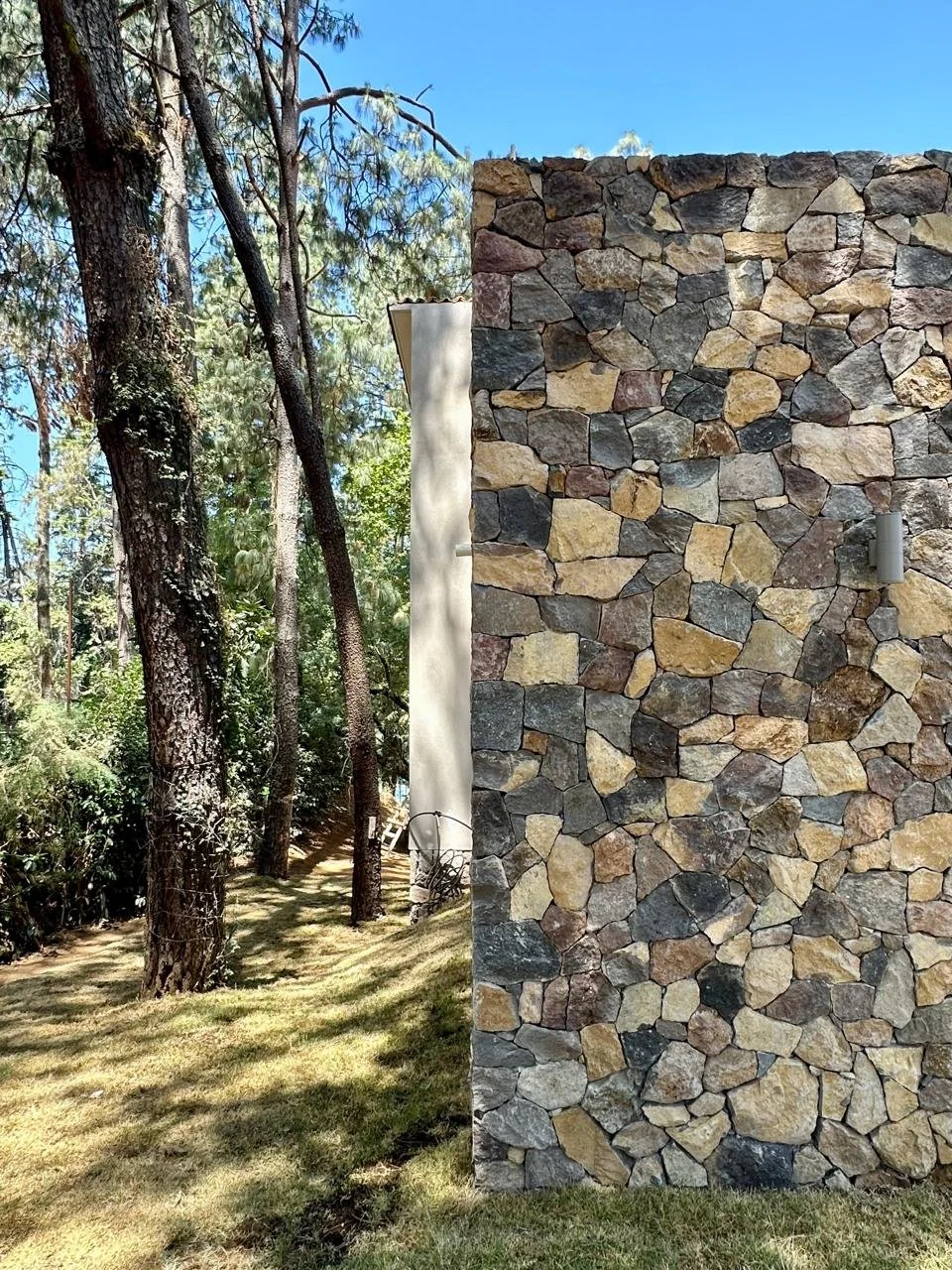 WhatsApp Image 2025-05-30 at 12.33.40 PM.jpeg