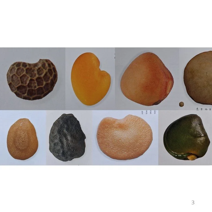 Slide3.JPG
