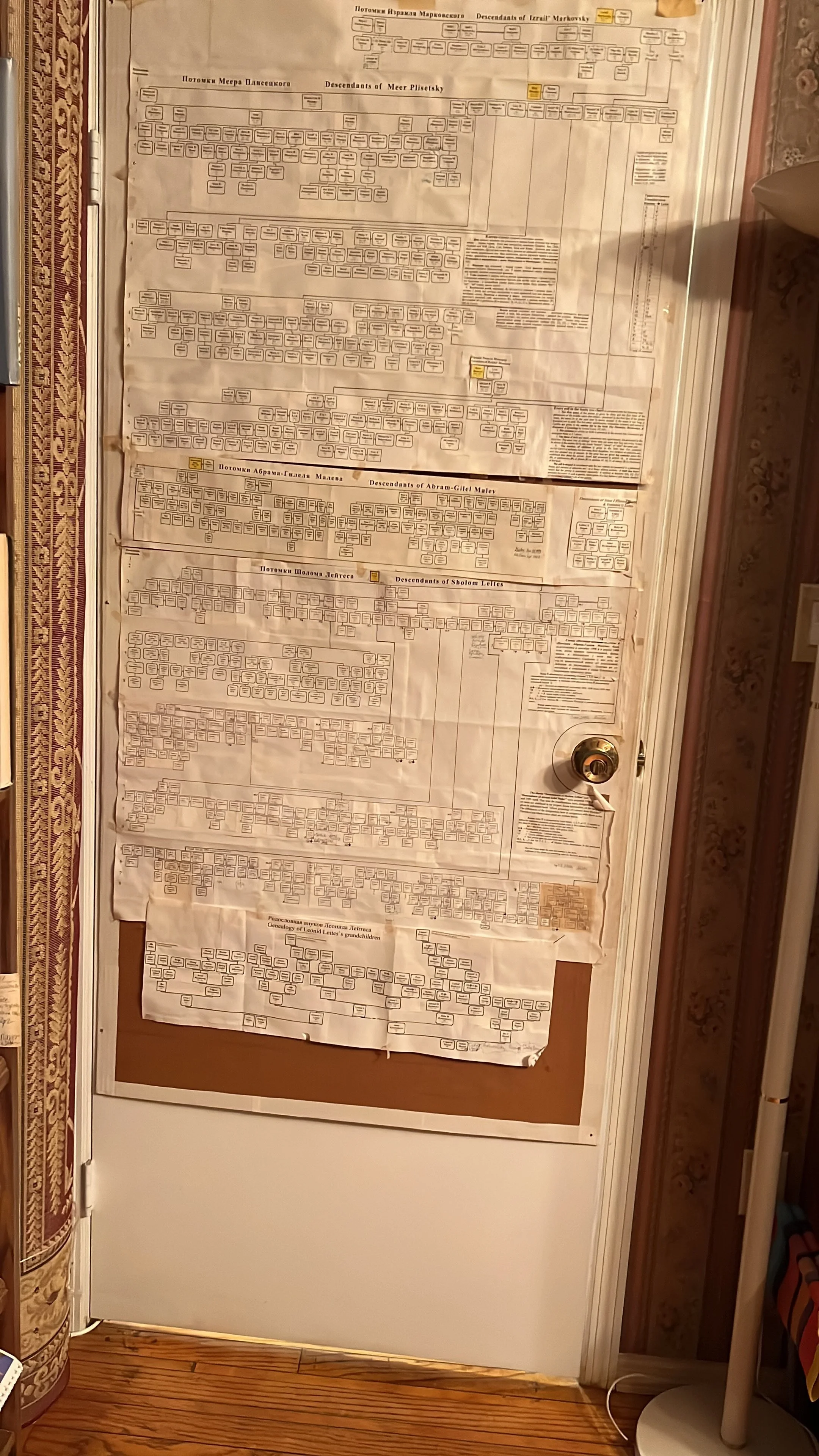 Who’s In My Family?