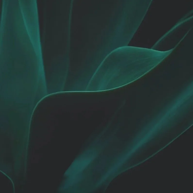 Moody Greenery