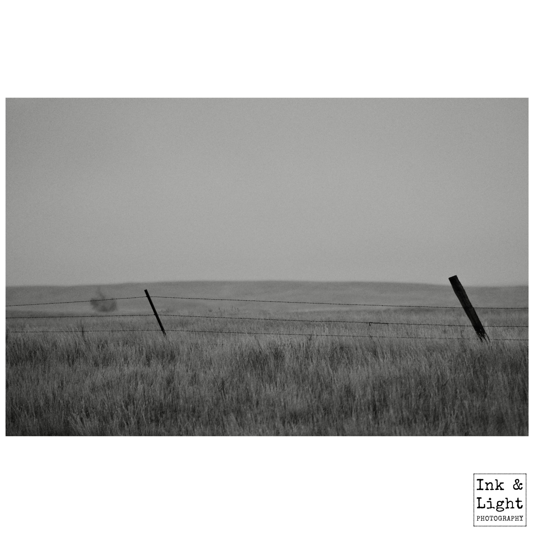 "Twisted Line"