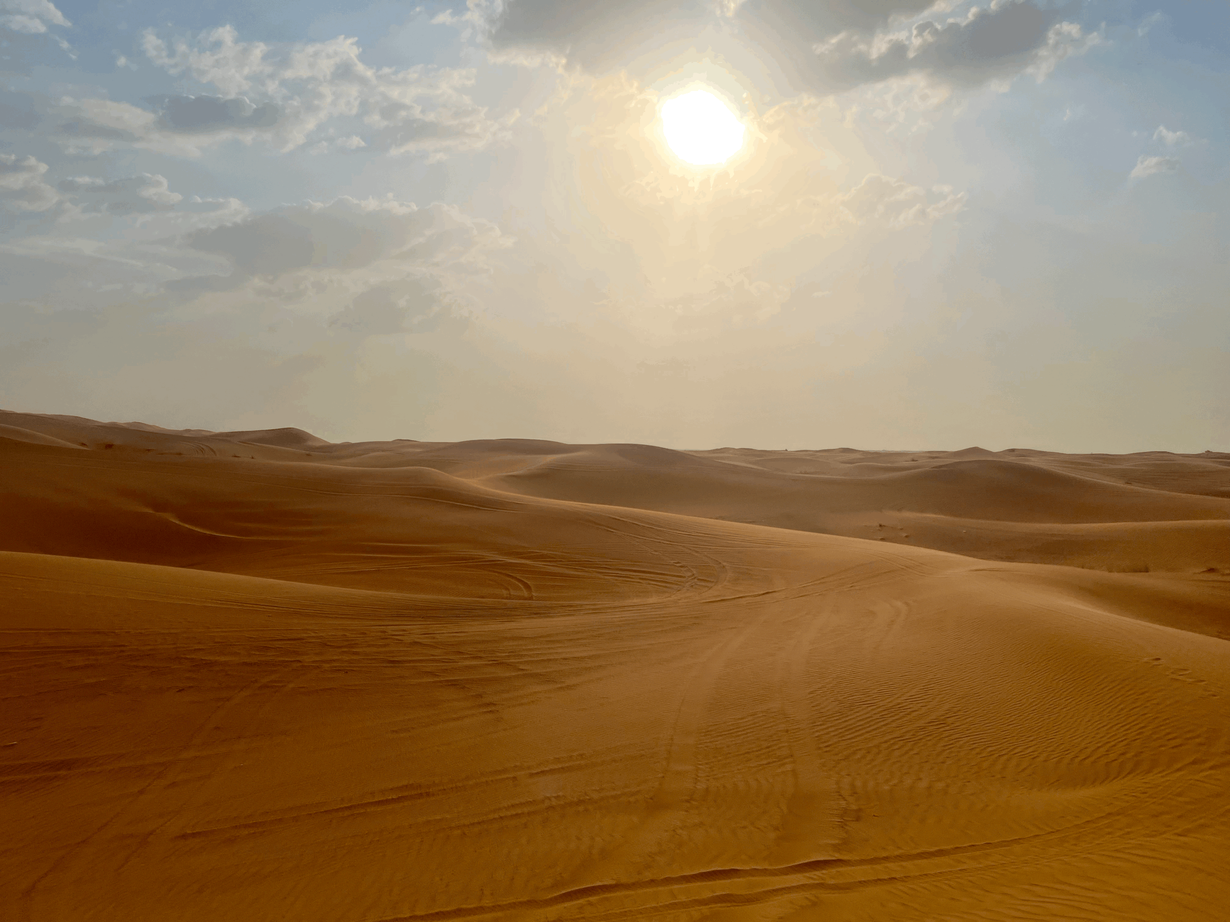Dubai Desert Safari Review: What to Expect &amp; Is It Worth Booking?