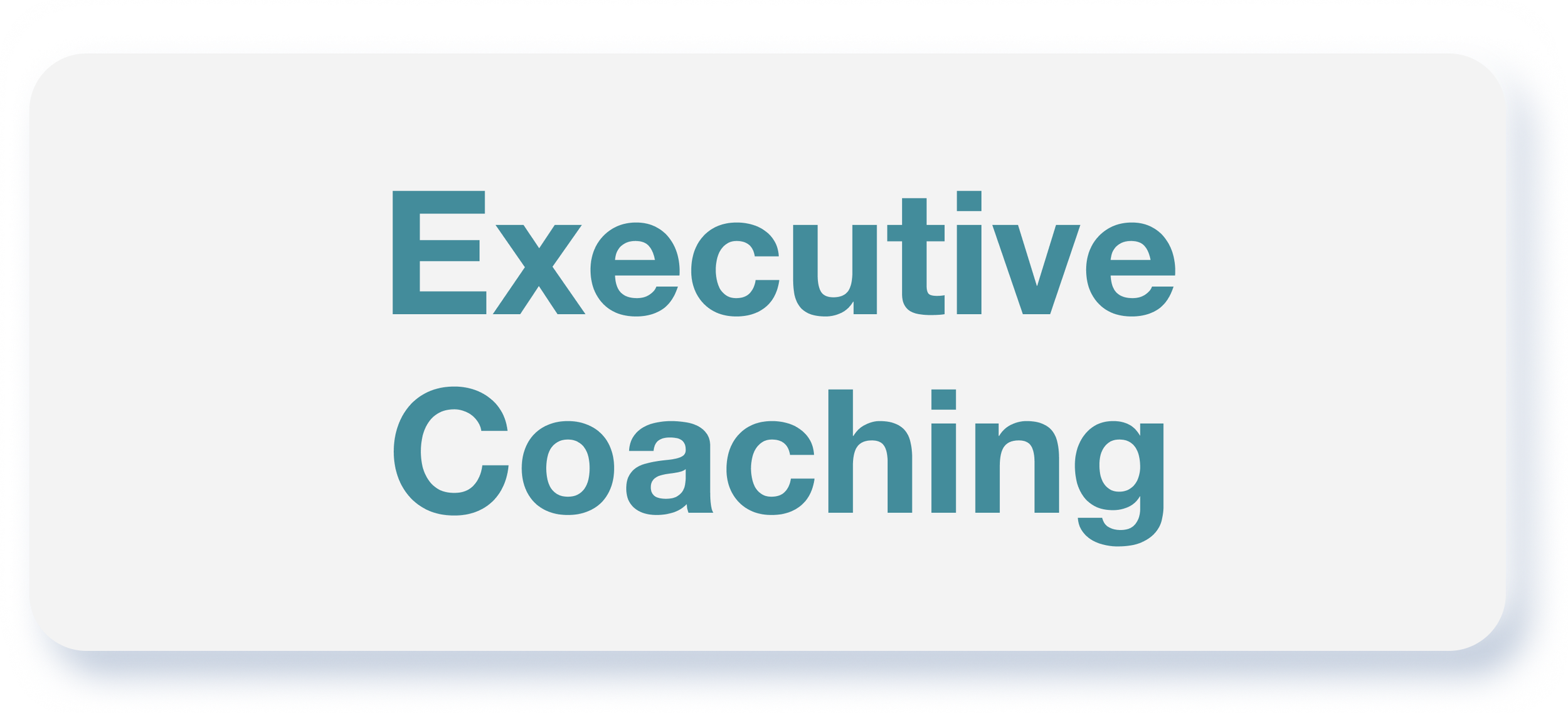 A digital graphic reading "Executive Coaching" in large blue text on a white background.