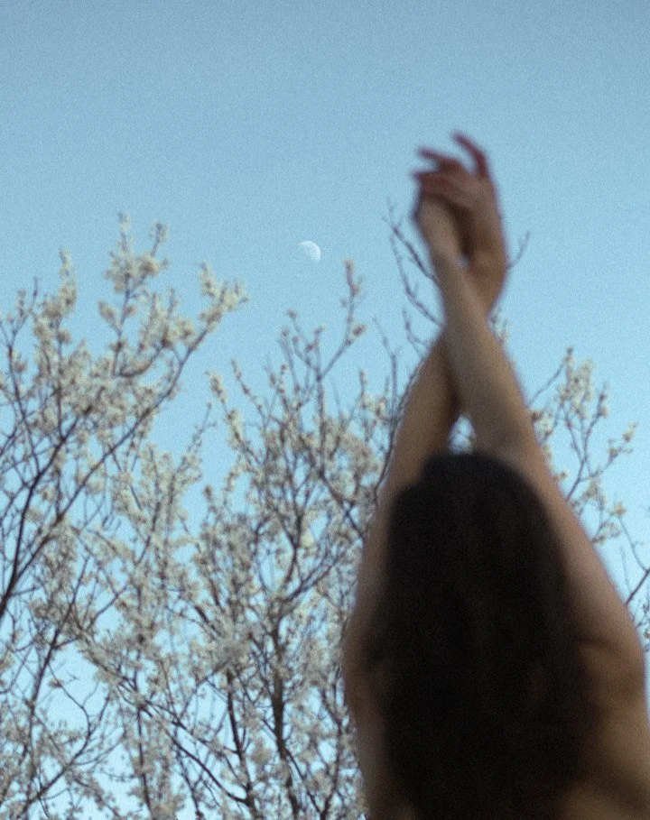 plum blossom
.
#selfportraiture #visualstorytelling
#nothidingmyremoteinmyeaglearms