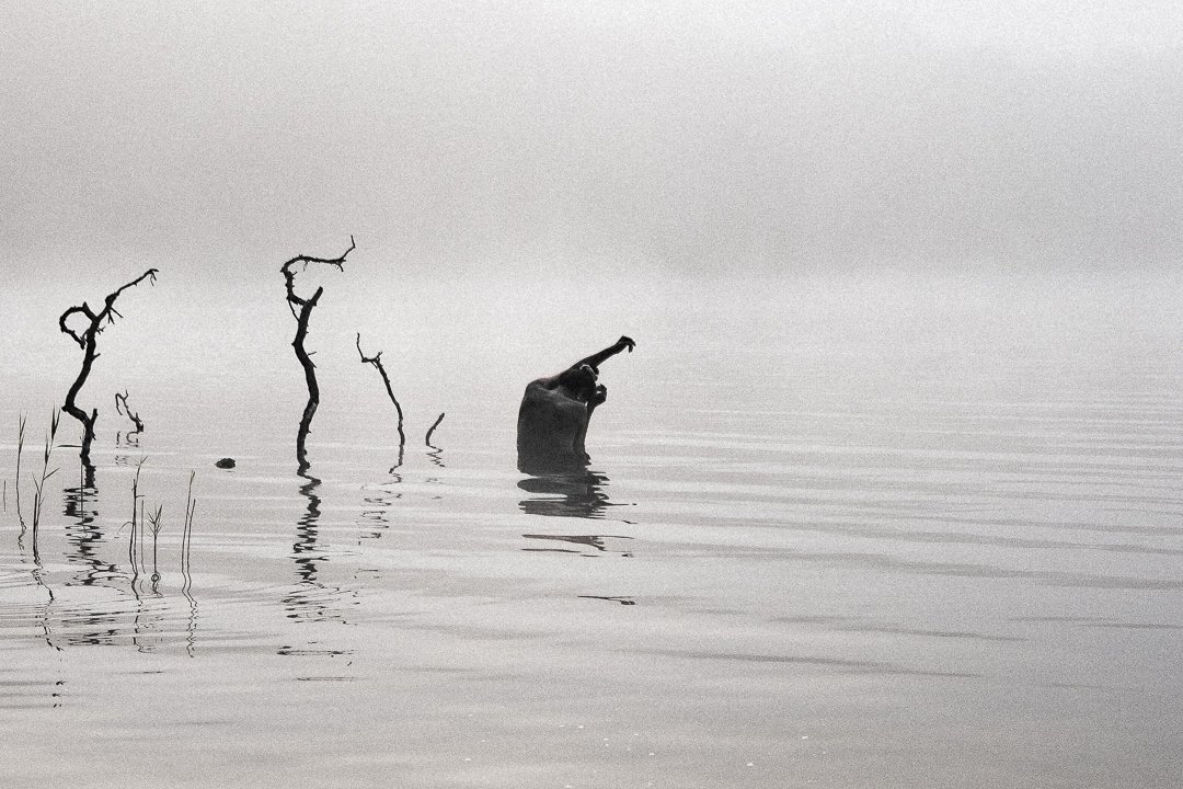 Schwarz-Weiß-Foto eines stillen Sees mit kahlen Zweigen, die aus dem Wasser ragen, und einer person, die darin steht, umgeben von Nebel.