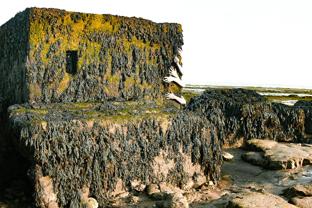 Mit Algen bedeckter Betonblock in Küstenlandschaft, aus dem Hände herausragen; surrealer Effekt.