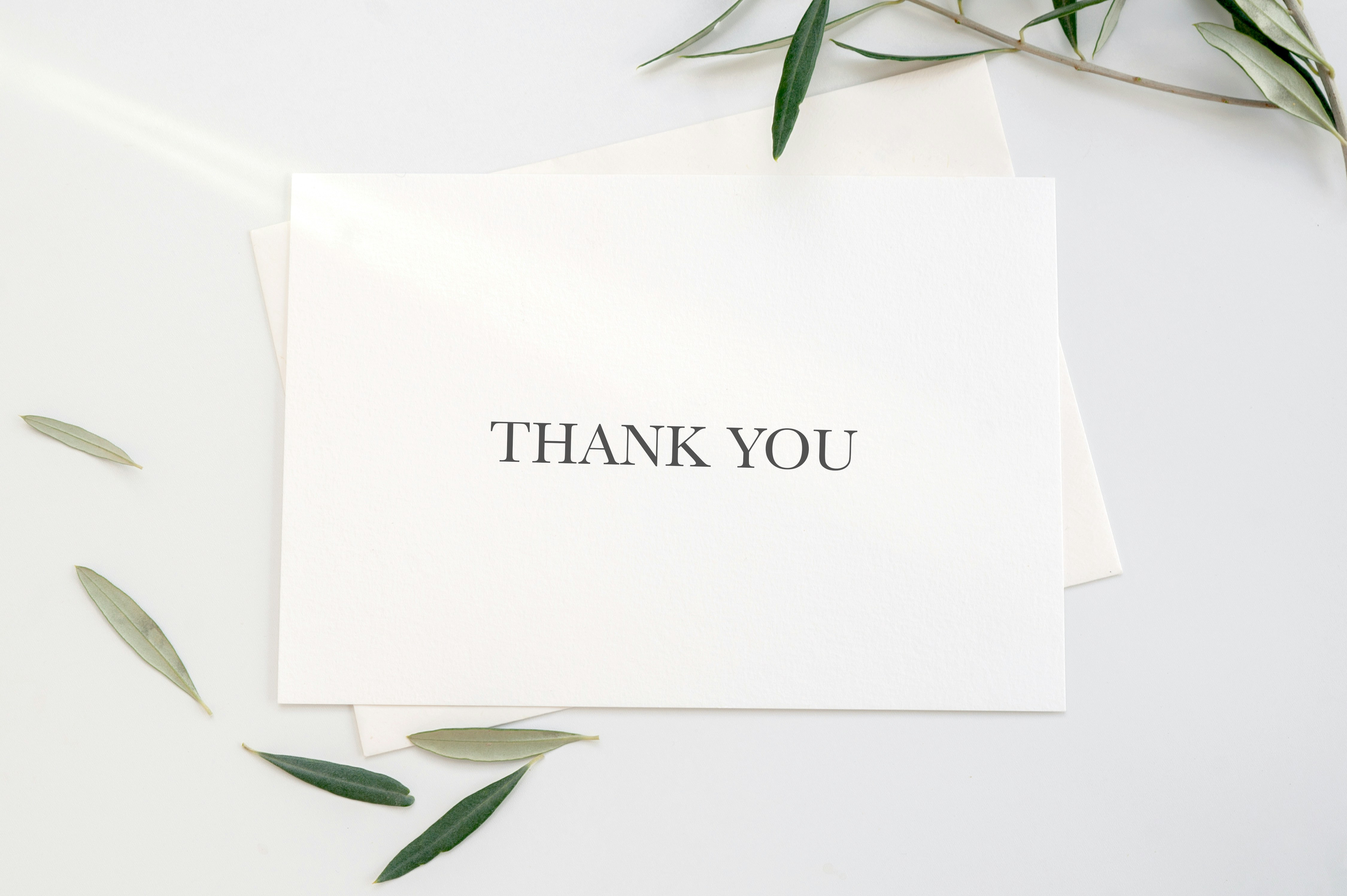 White thank you card with black text, surrounded by green leaves on a white background.