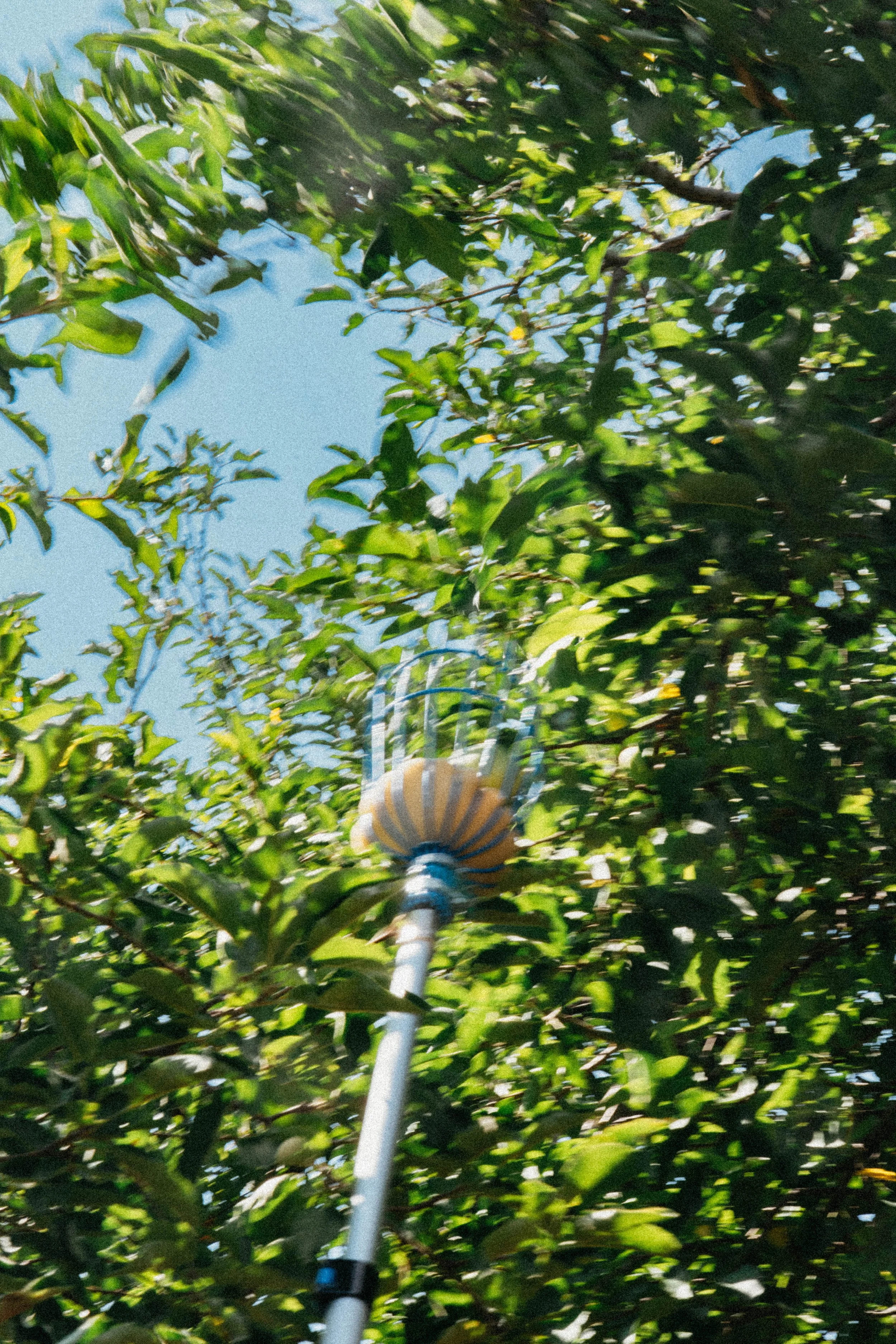 MCA07664.jpg
