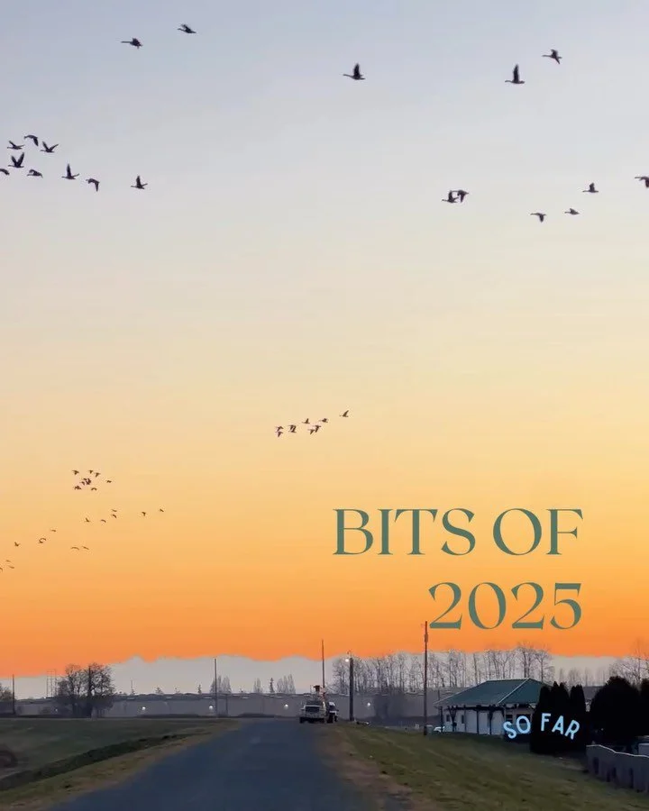 Jan &amp; a few Feb moments! Consisting of cold days, steady work, and learning to appreciate the little moments. 🌨️👩&zwj;💻

#marketingdigital #marketing #2025 #january #smallbusiness #socialmediamarketing #design #graphicdesign #website #logodesi