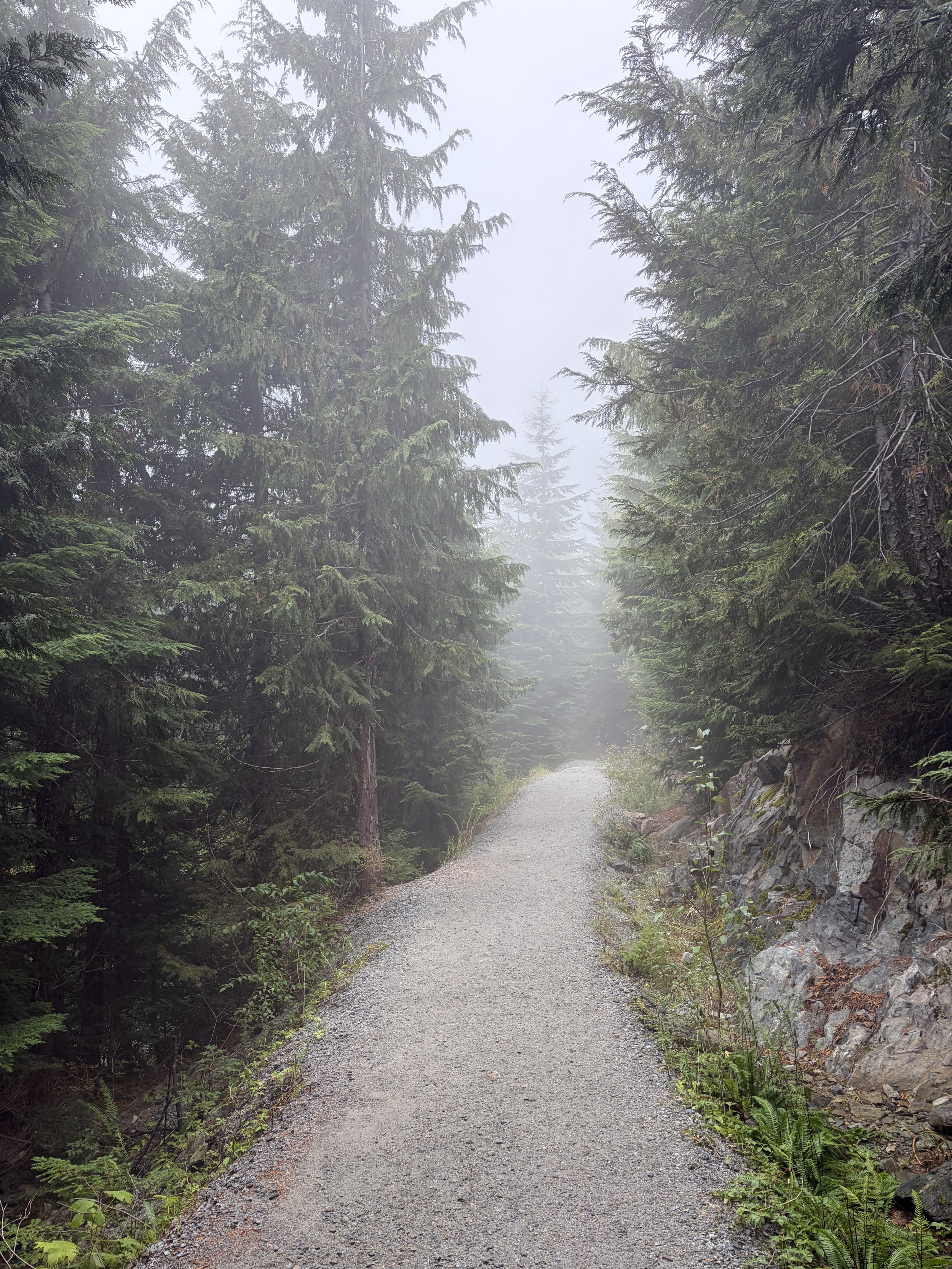2026/08 Community Hike