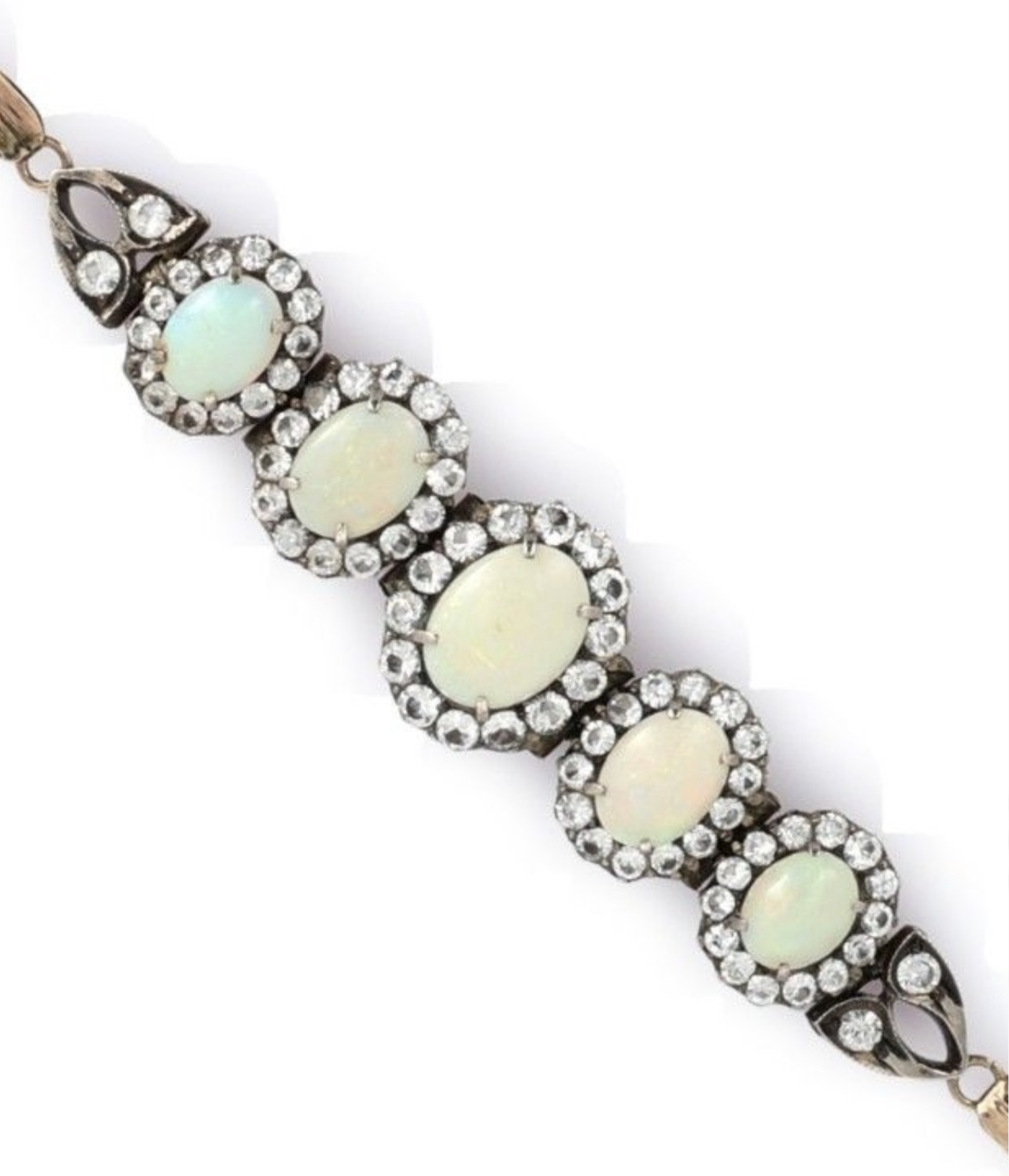 Screenshot 2026-02-22 at 1.55.43 PM.png