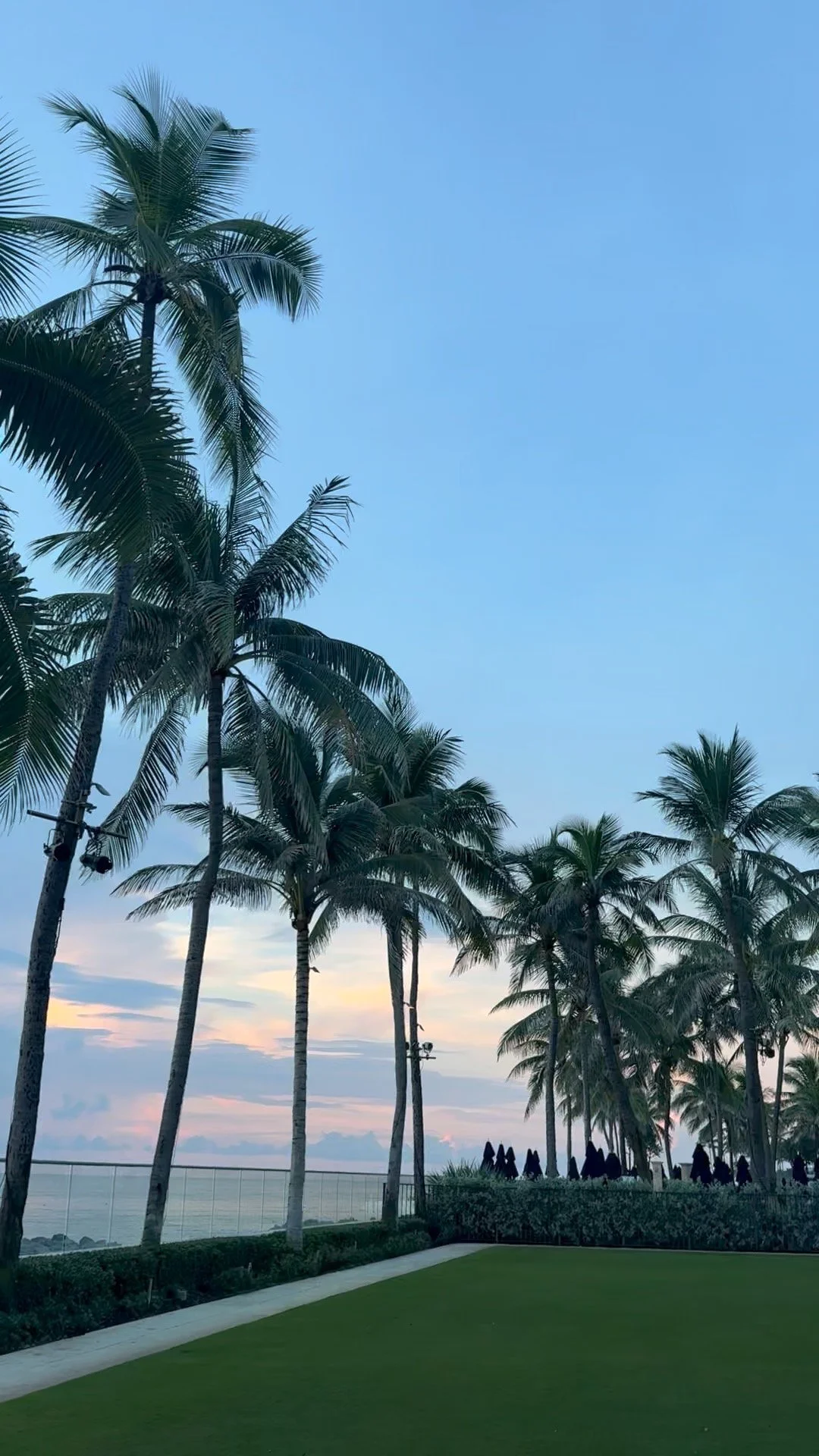 Palm beach Favorites! Soflo Locals guide