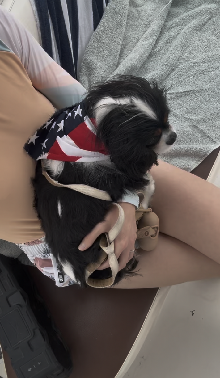 Screenshot 2026-03-24 at 3.22.00 PM.png