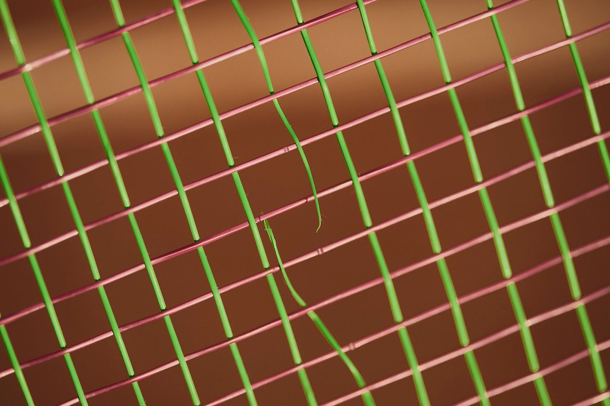 Close-up view of a green string and pink string grid with a small green caterpillar on it.