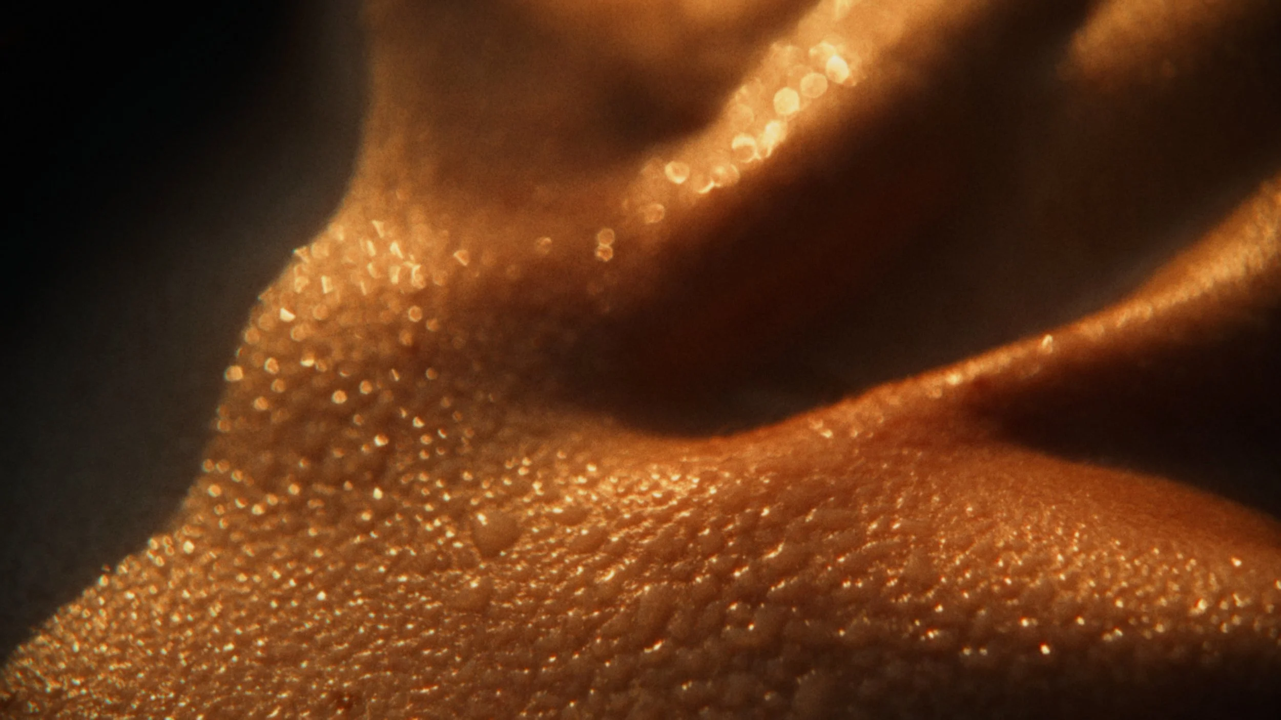 Close-up of a textured, glittering, golden-brown surface with ridges and small reflective particles.