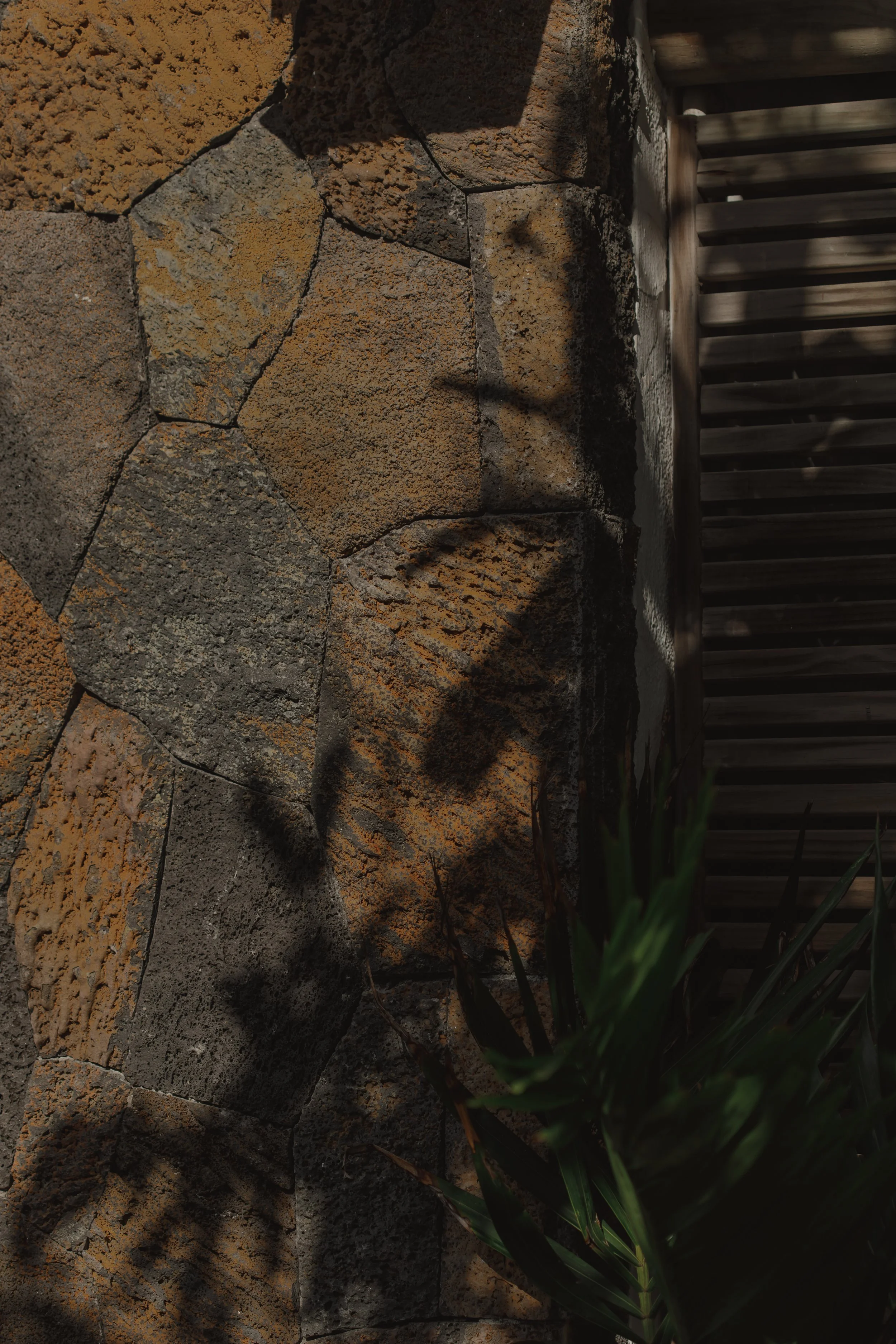 Close-up of a stone and brick wall with a shadow cast on it, next to a wooden fence and some green plants.