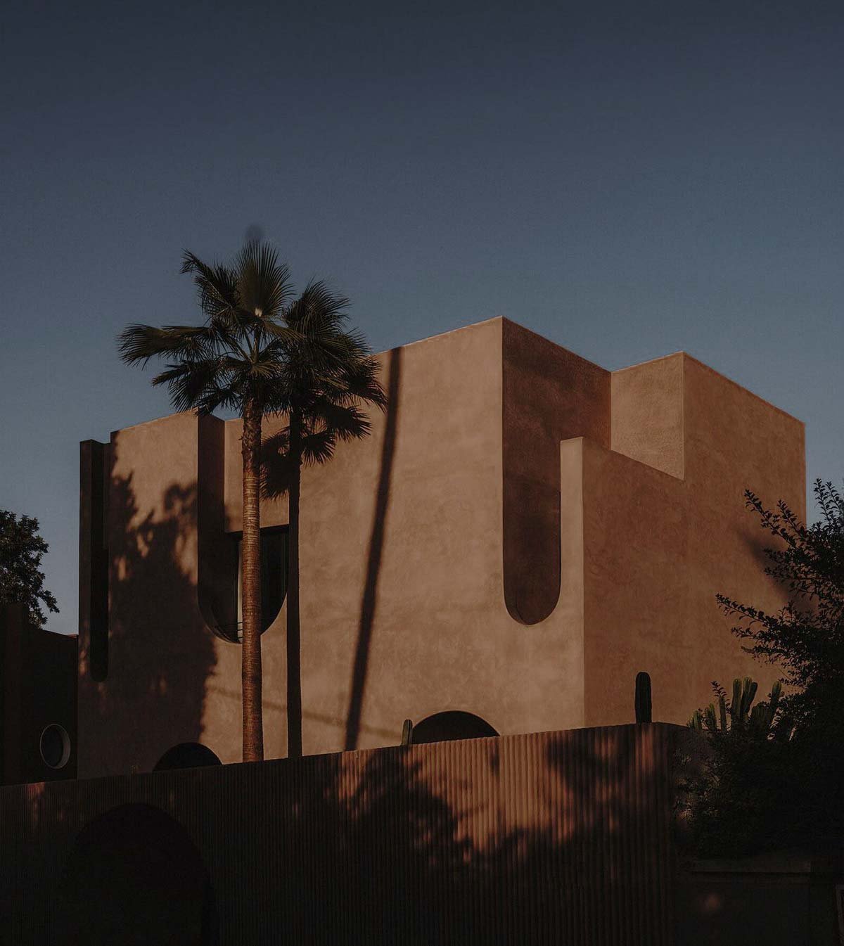A modern building with a beige exterior and curved design features, set against a darkening sky at dusk. A tall palm tree stands in front, casting shadows on the wall, and various desert plants are visible around the base.