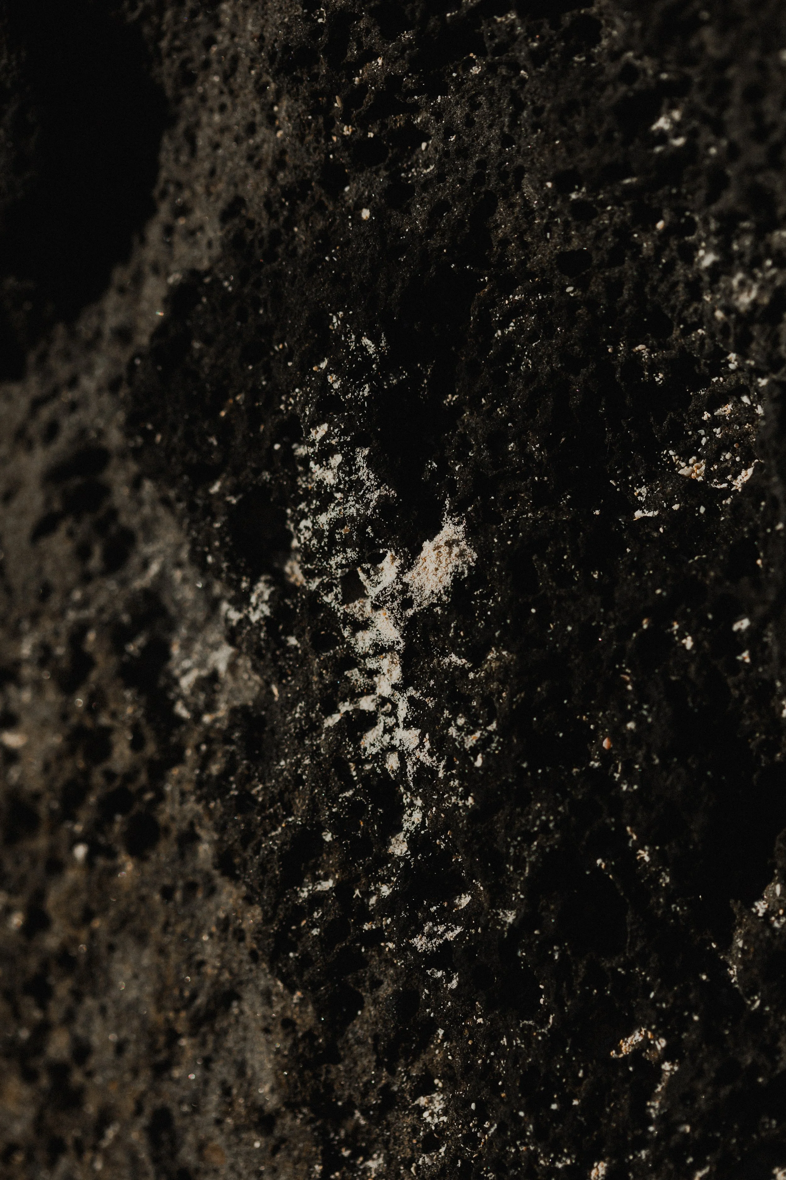 Close-up of dark, textured soil with small white specks and shiny particles.
