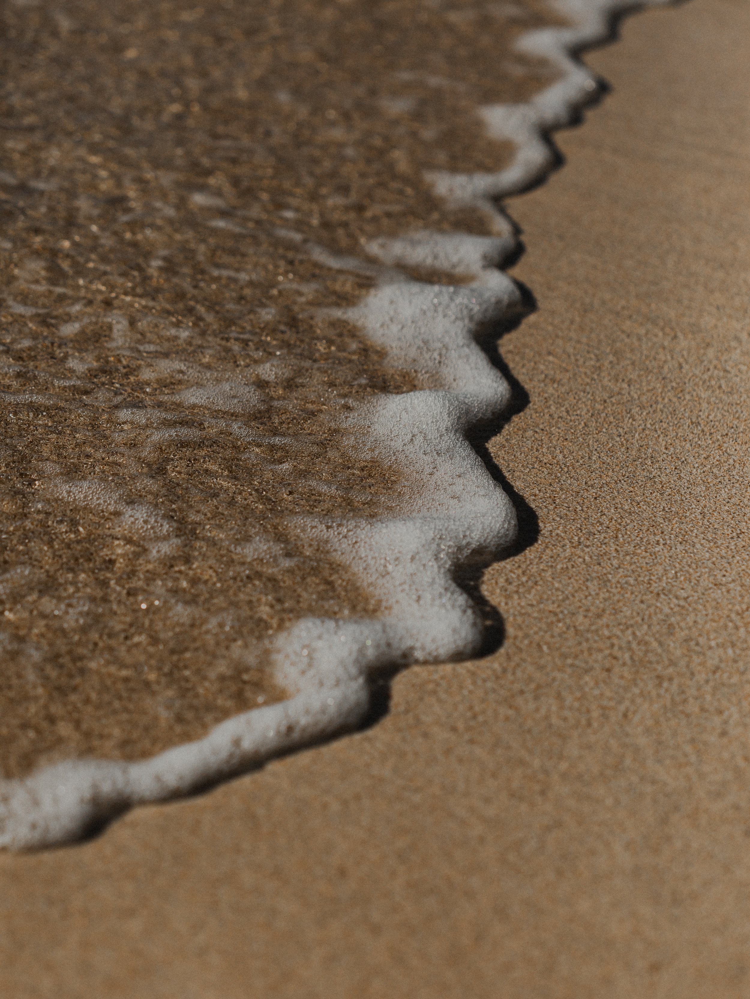 Close-up photo of a foamy wave on a sandy beach.