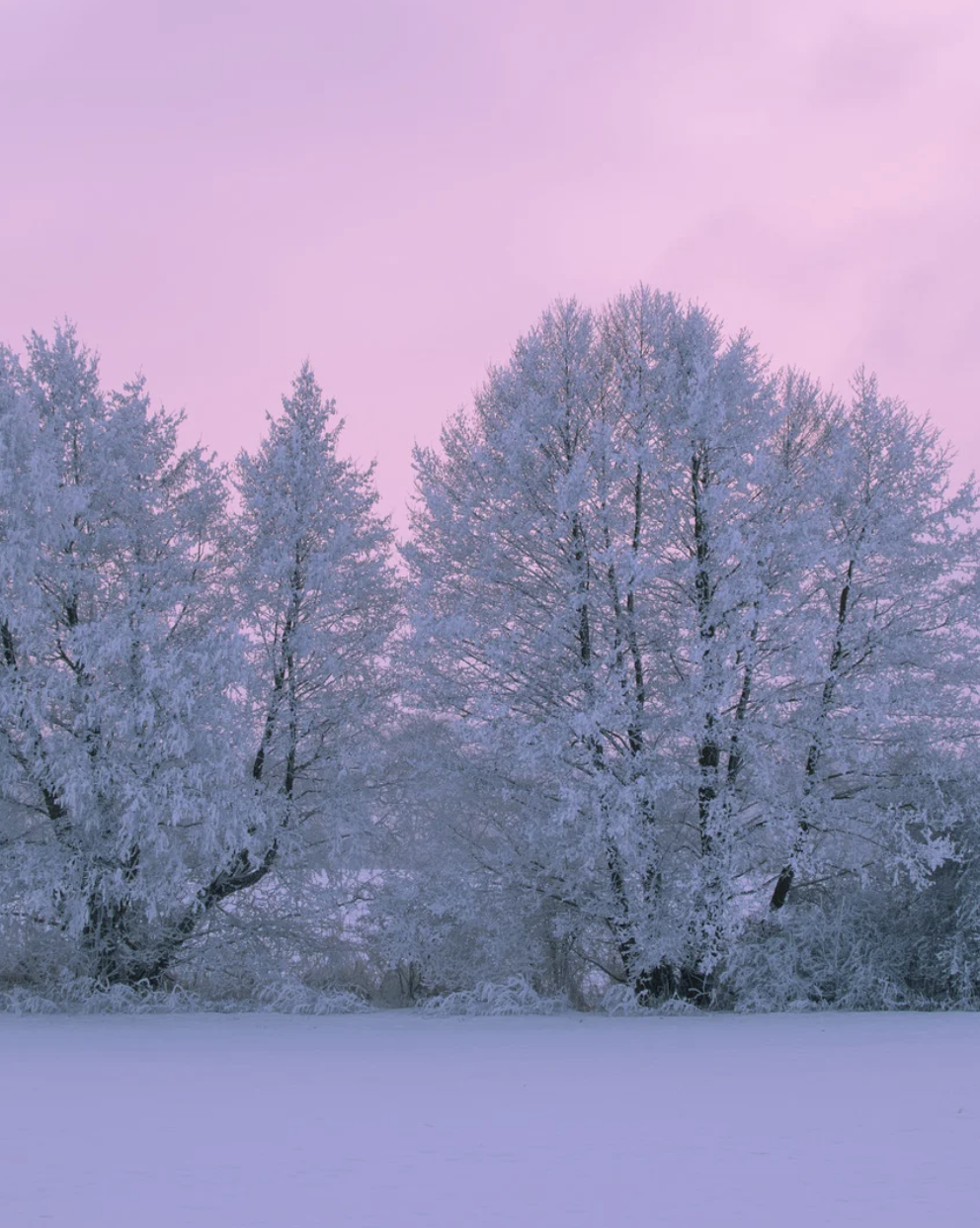 January Intro to Ketamine for Healers
