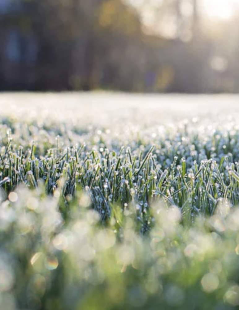 Beltane Continuation Group