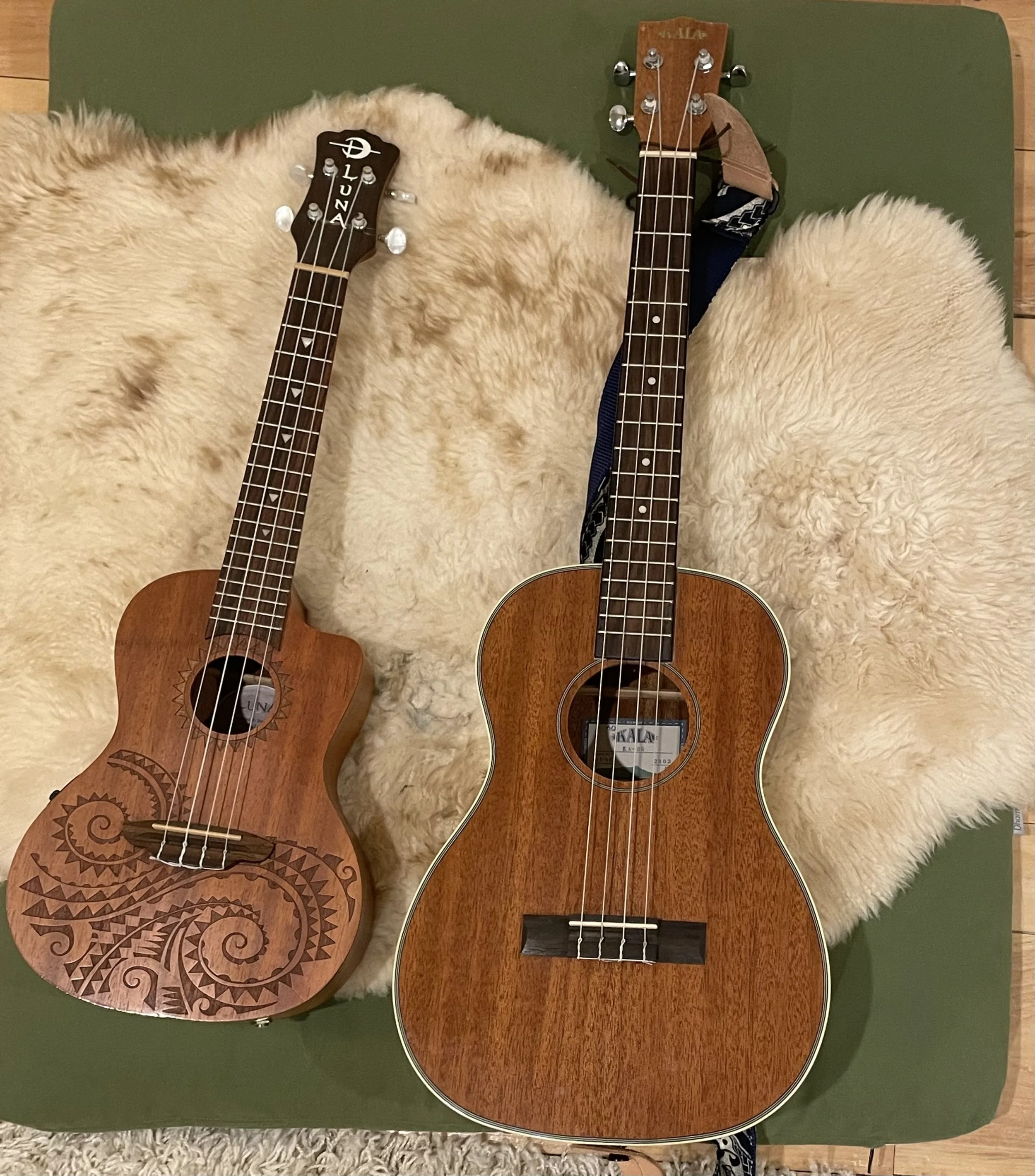 February Song Circle