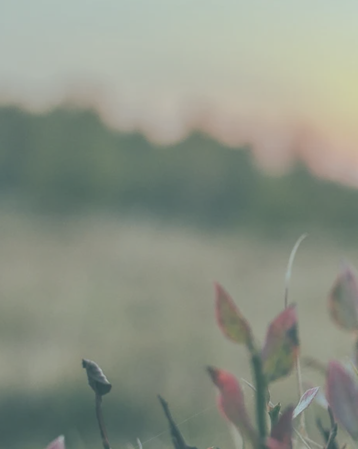 September Intro to Ketamine for Healers