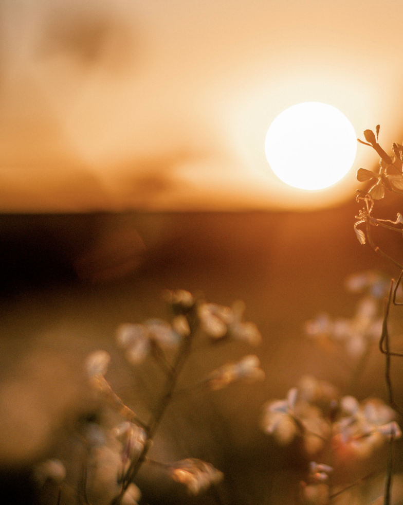 Fall Equinox Continuation Group