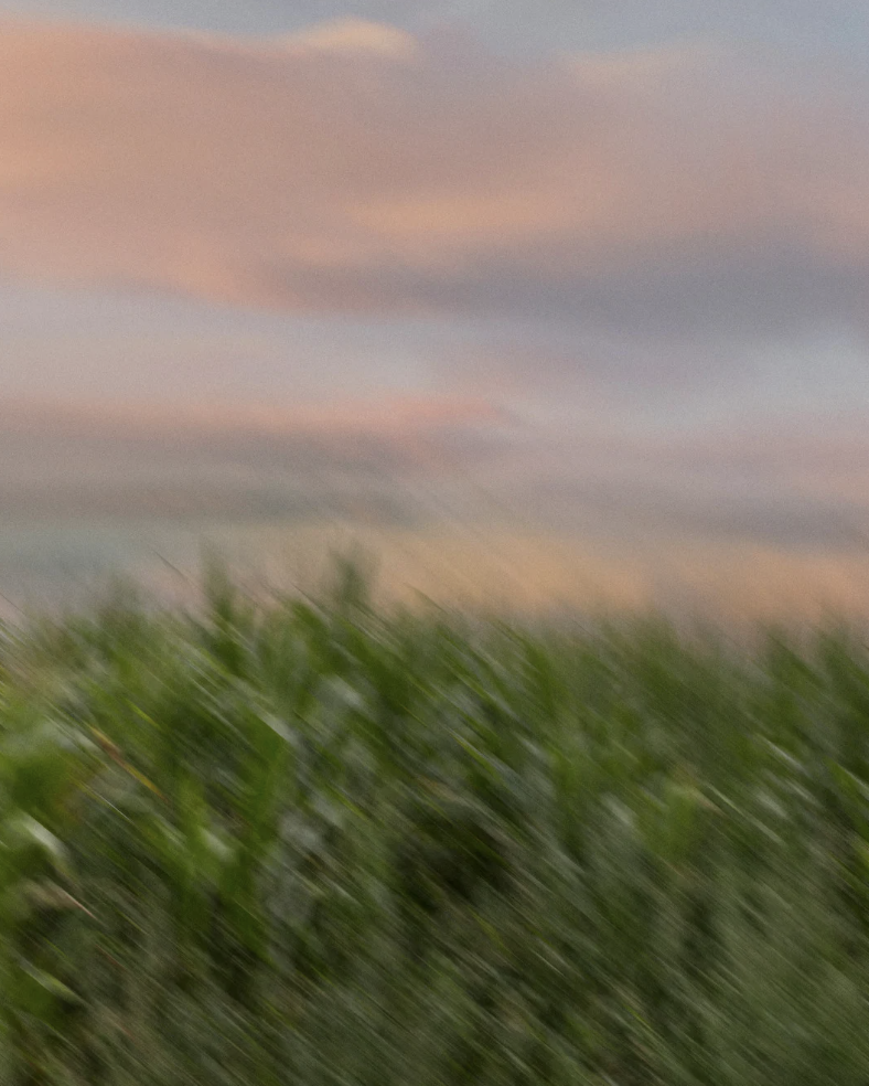 Ketamine and Meditation on the Nature of Mind