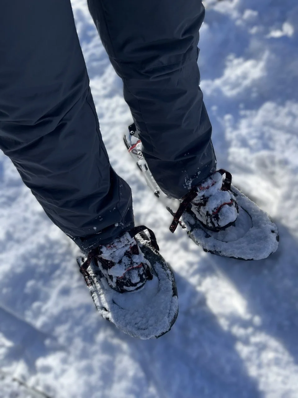 Snowshoes, Uneven Ground, and Learning as I Go