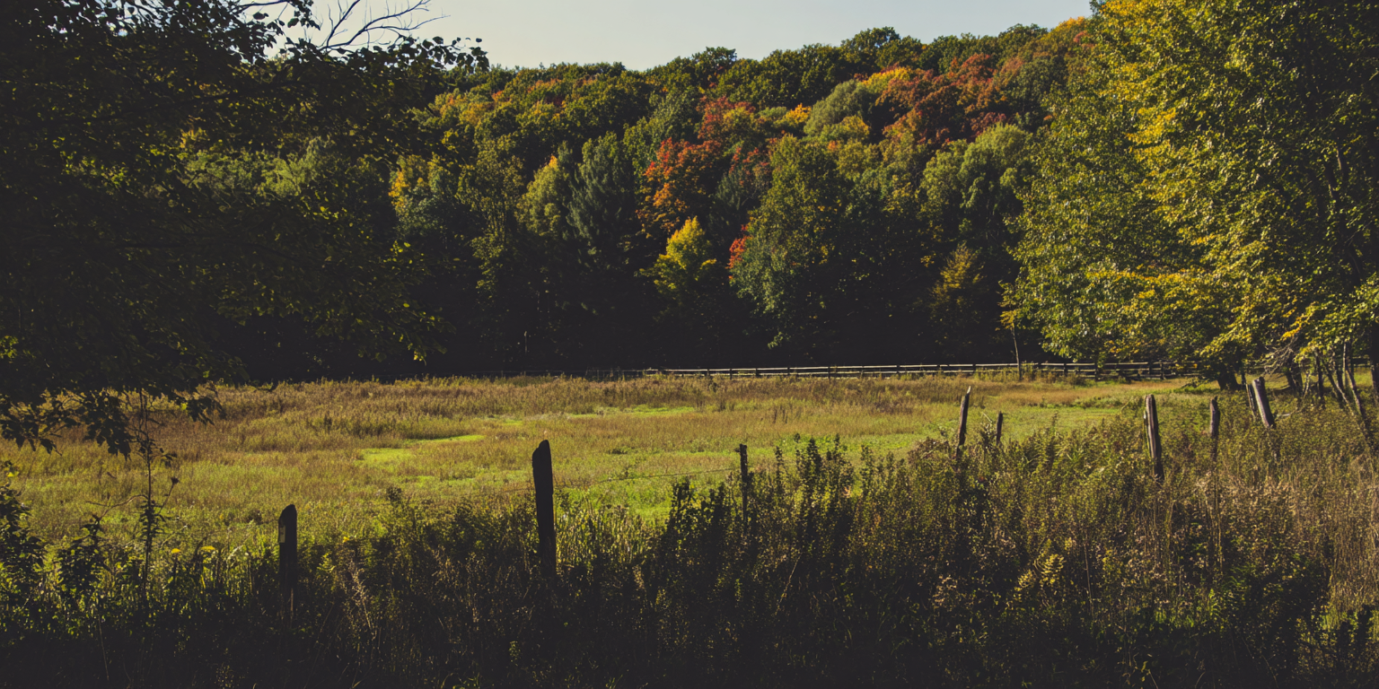 Drone &amp; Media Packages That Sell Artistic Homes in Woodstock