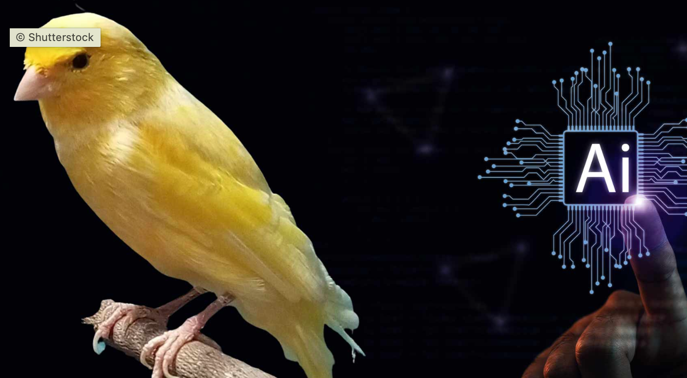 Article 36 Canaries in the Military AI Coal Mine